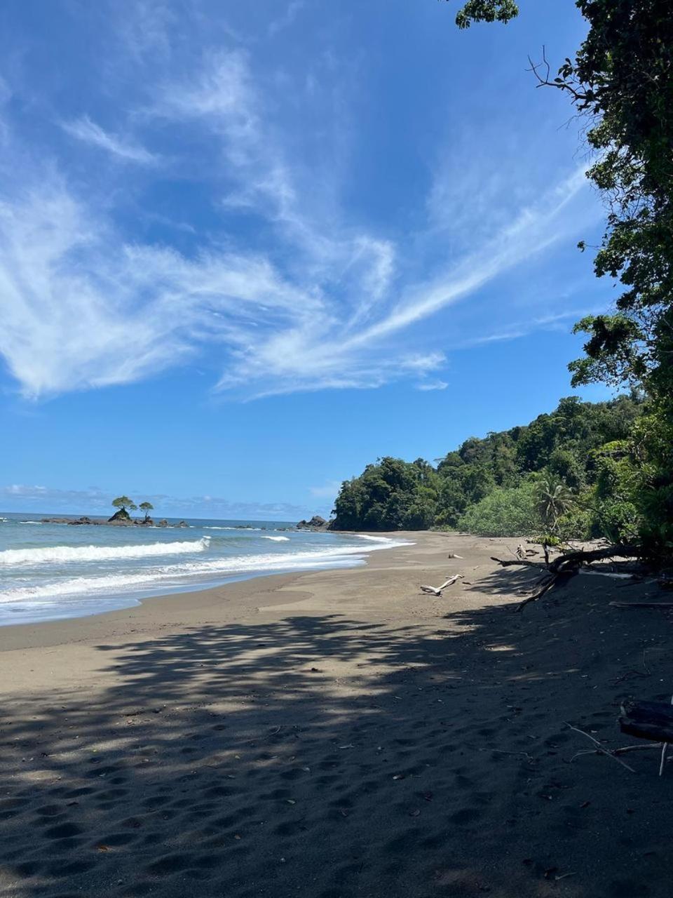 Pacific Waves Hostel & Surf