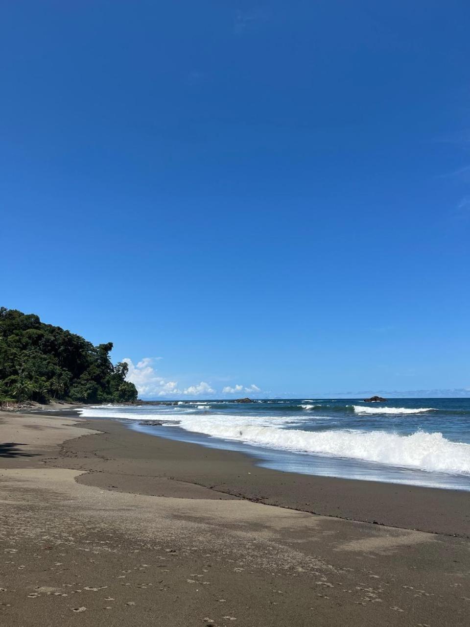 Pacific Waves Hostel & Surf
