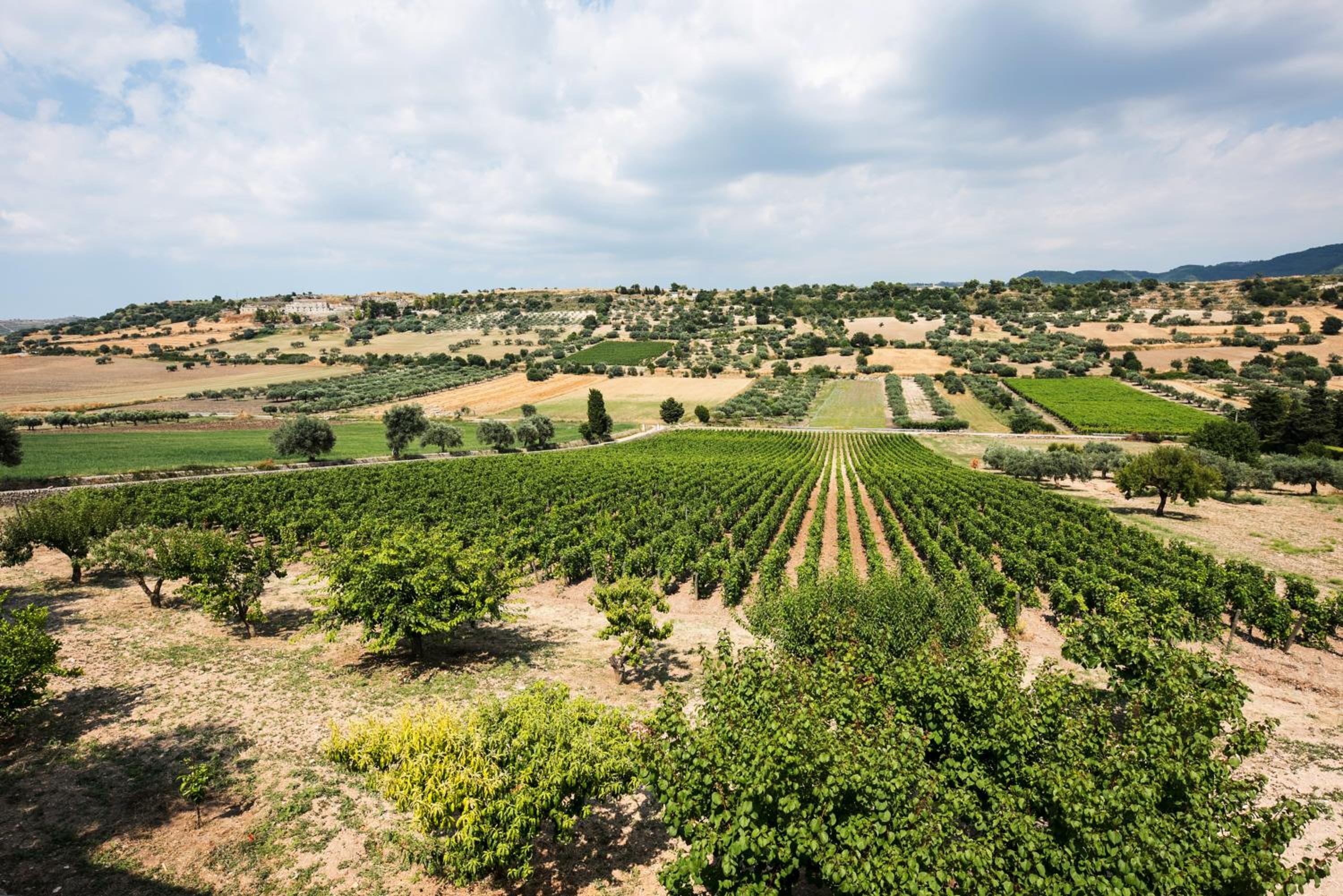 Locanda Gulfi