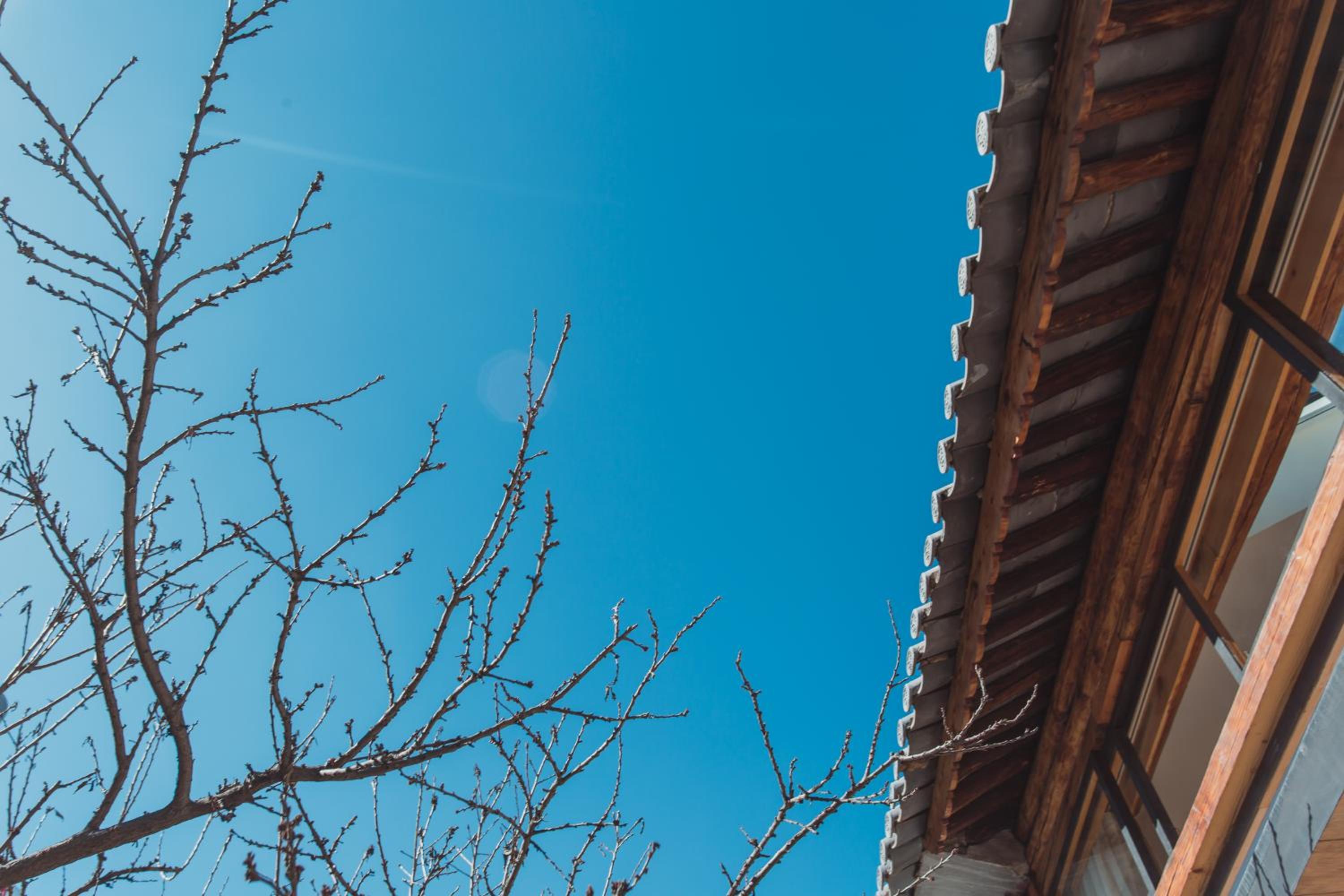 Infini House