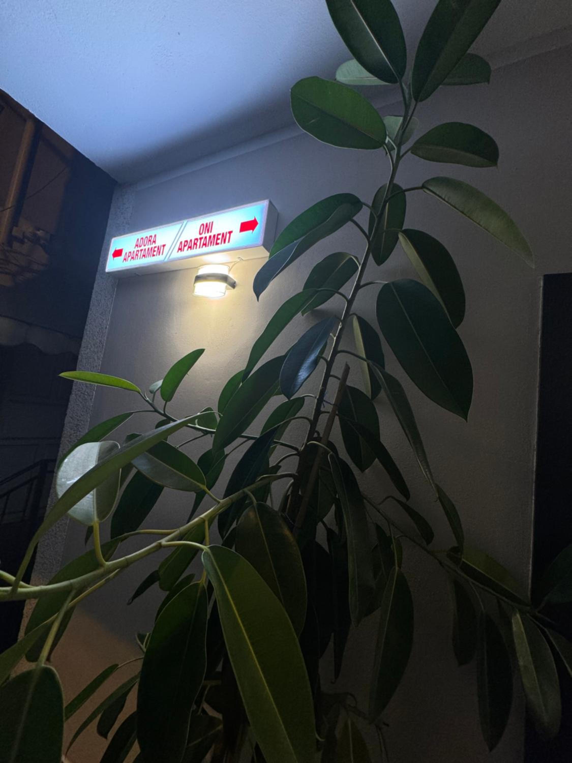 Oni Apartment