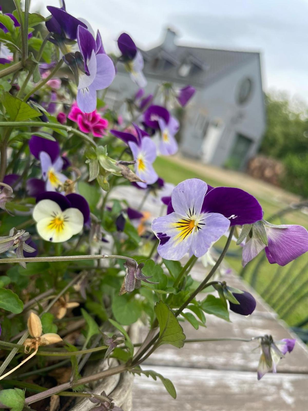 Guesthouse 't Goed Leven