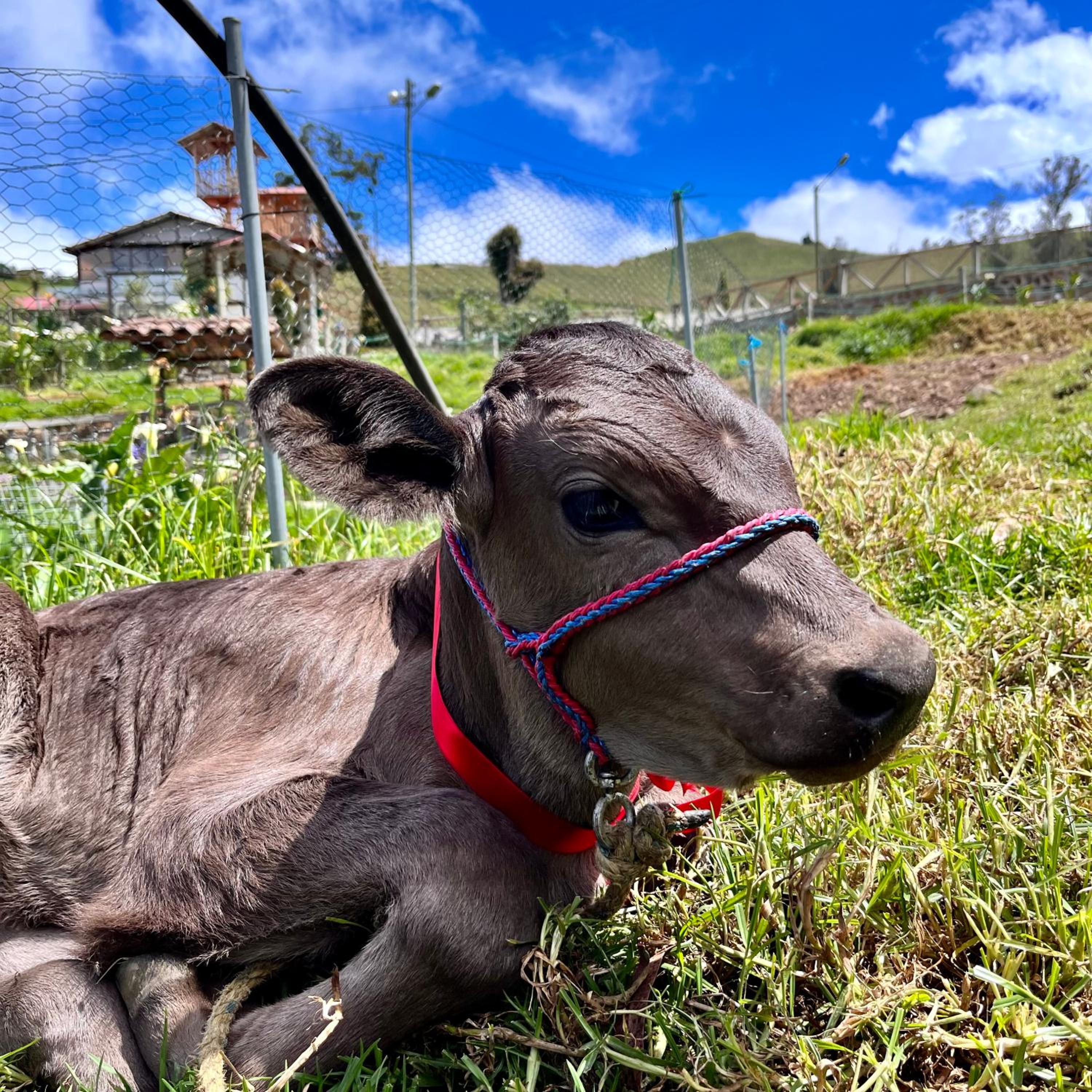 Quinta La Alegría