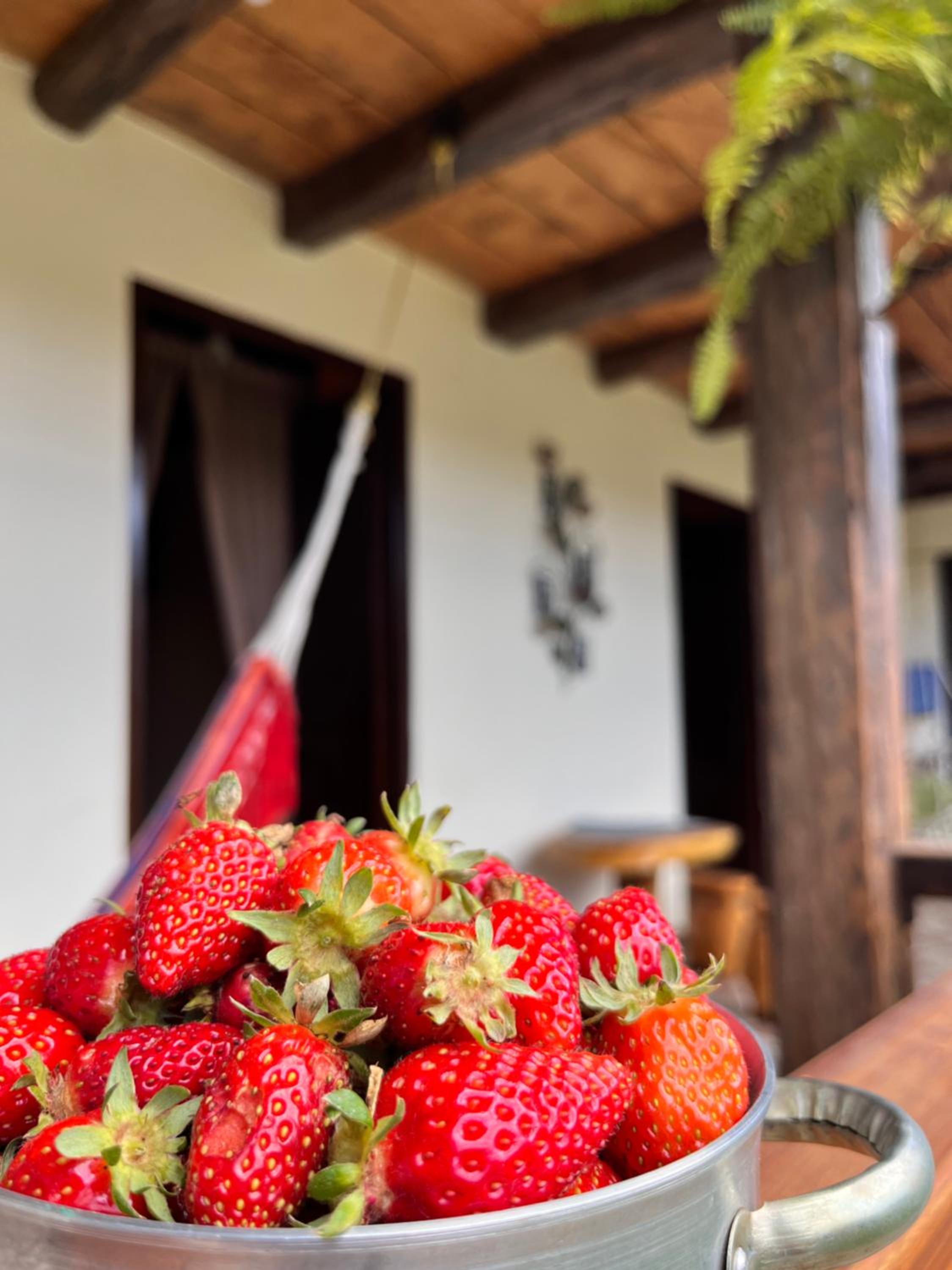 Quinta La Alegría