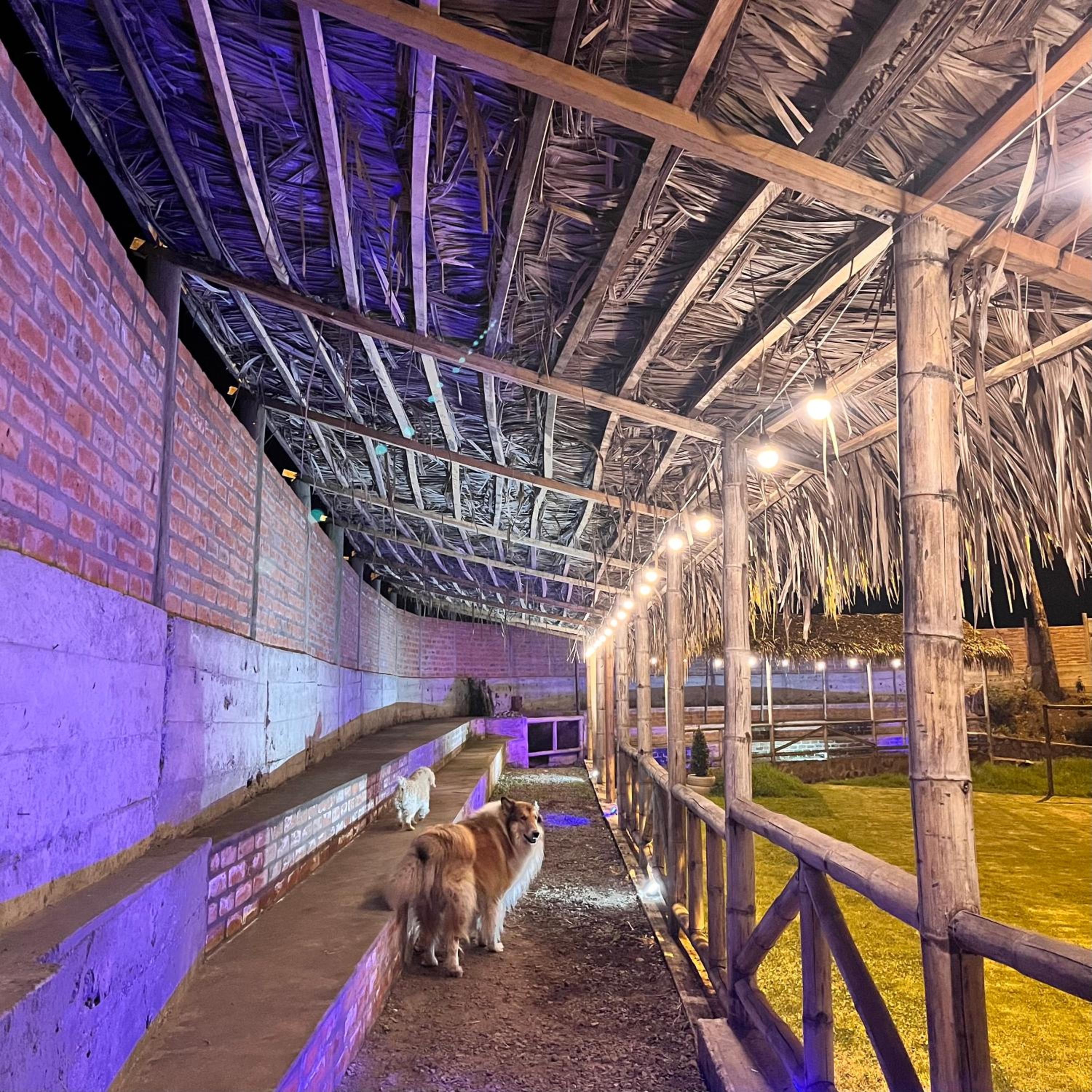 Quinta La Alegría