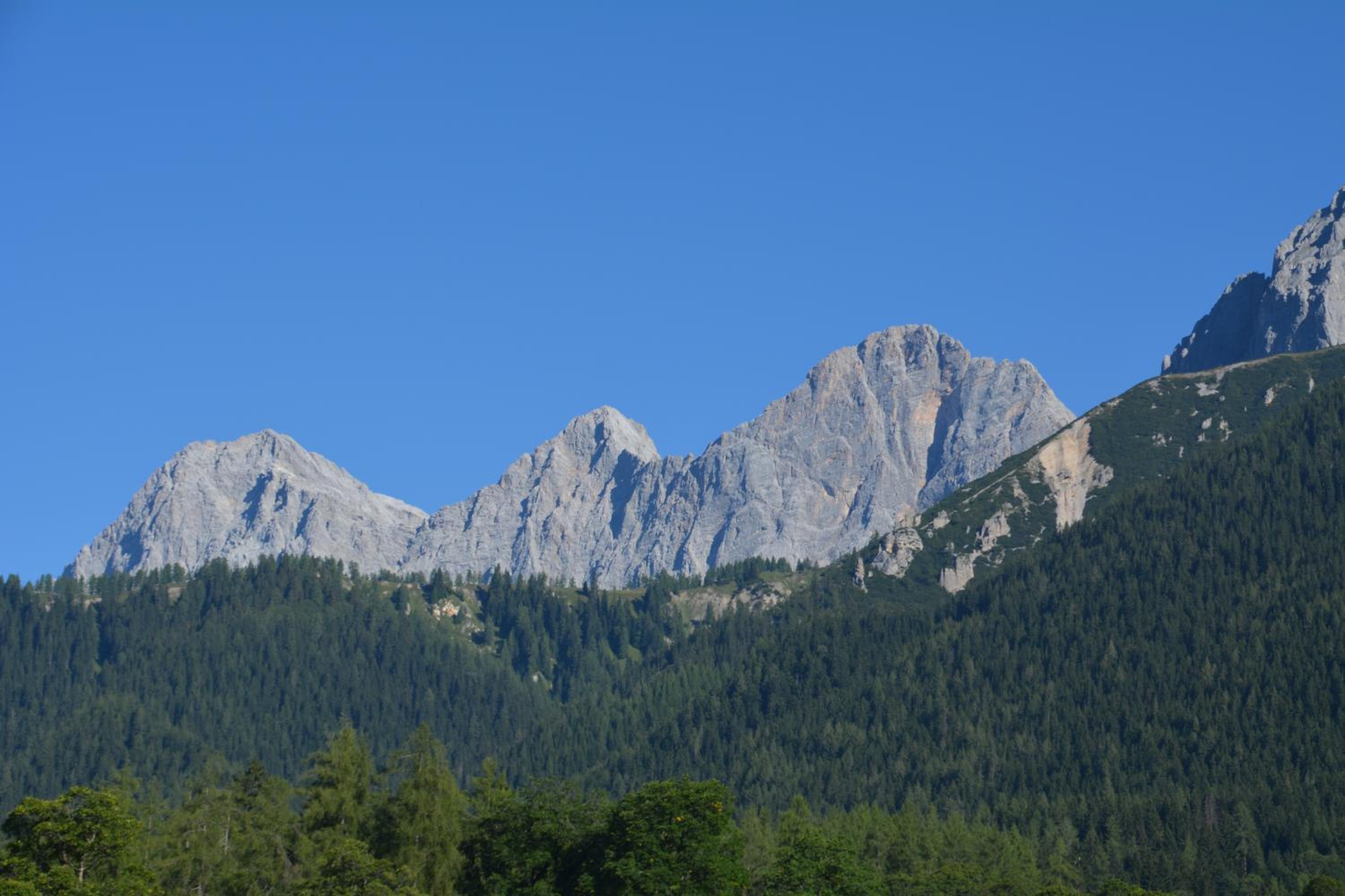 Forsterhof