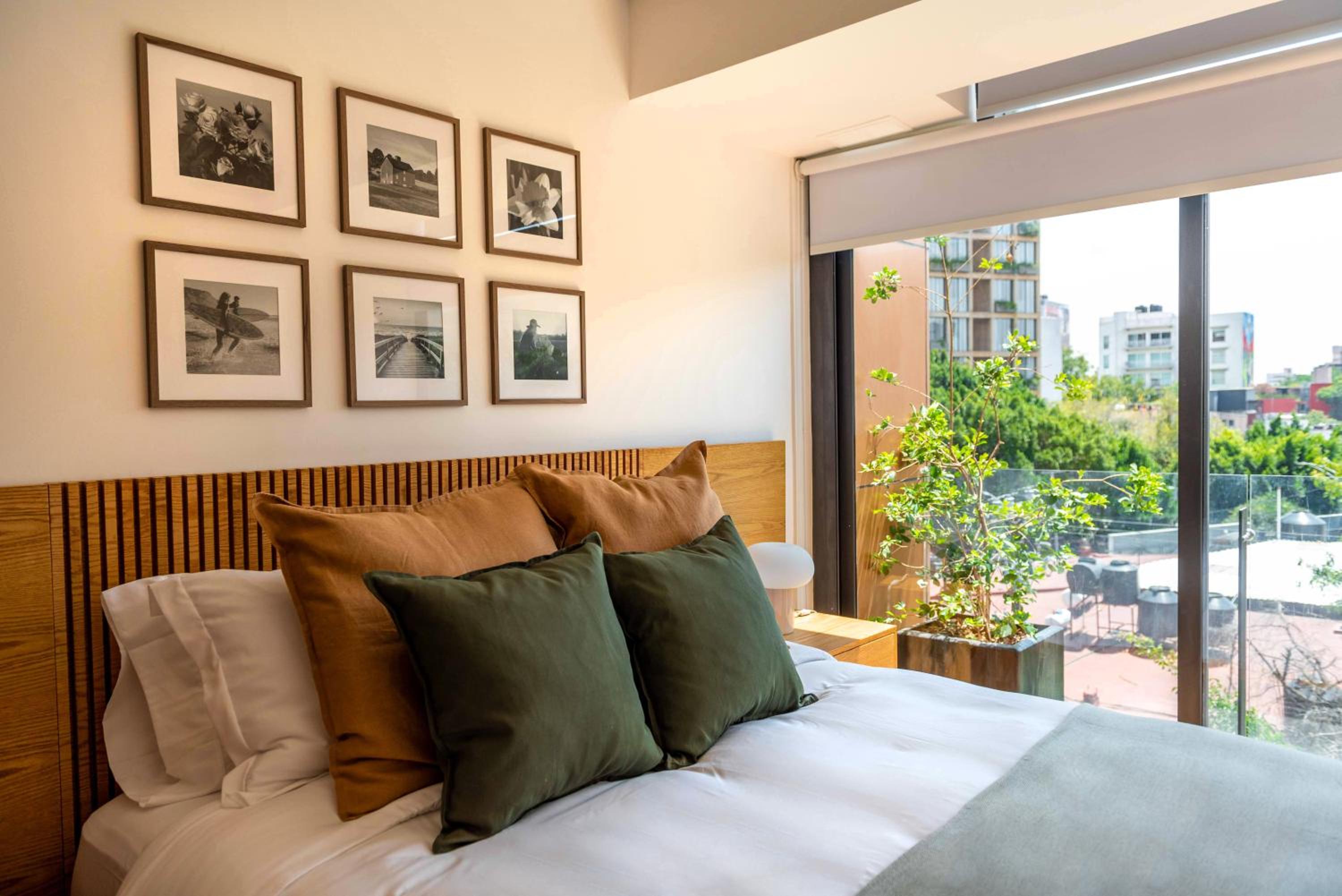 Amazing 1BR in Roma Norte with AC balcony and Rooftop