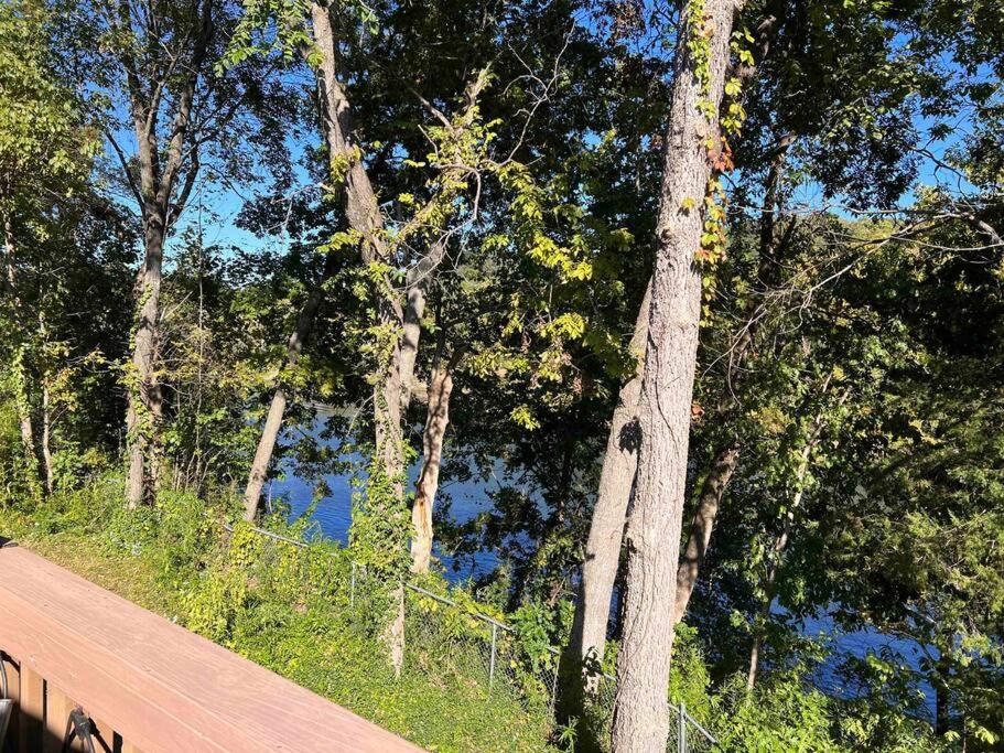 Condo in Branson -waterfront, peaceful