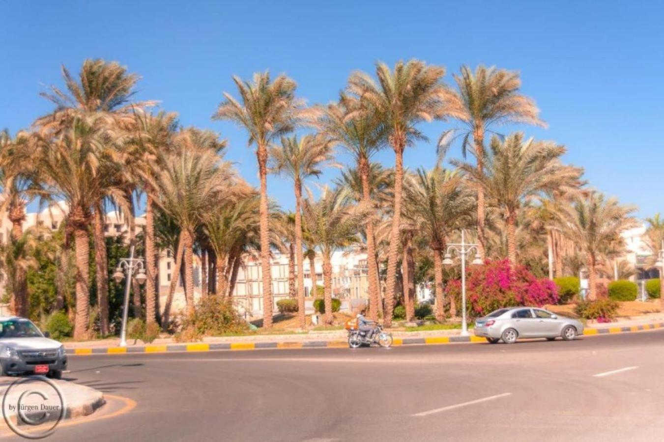 Hurghada Apartment Tourist