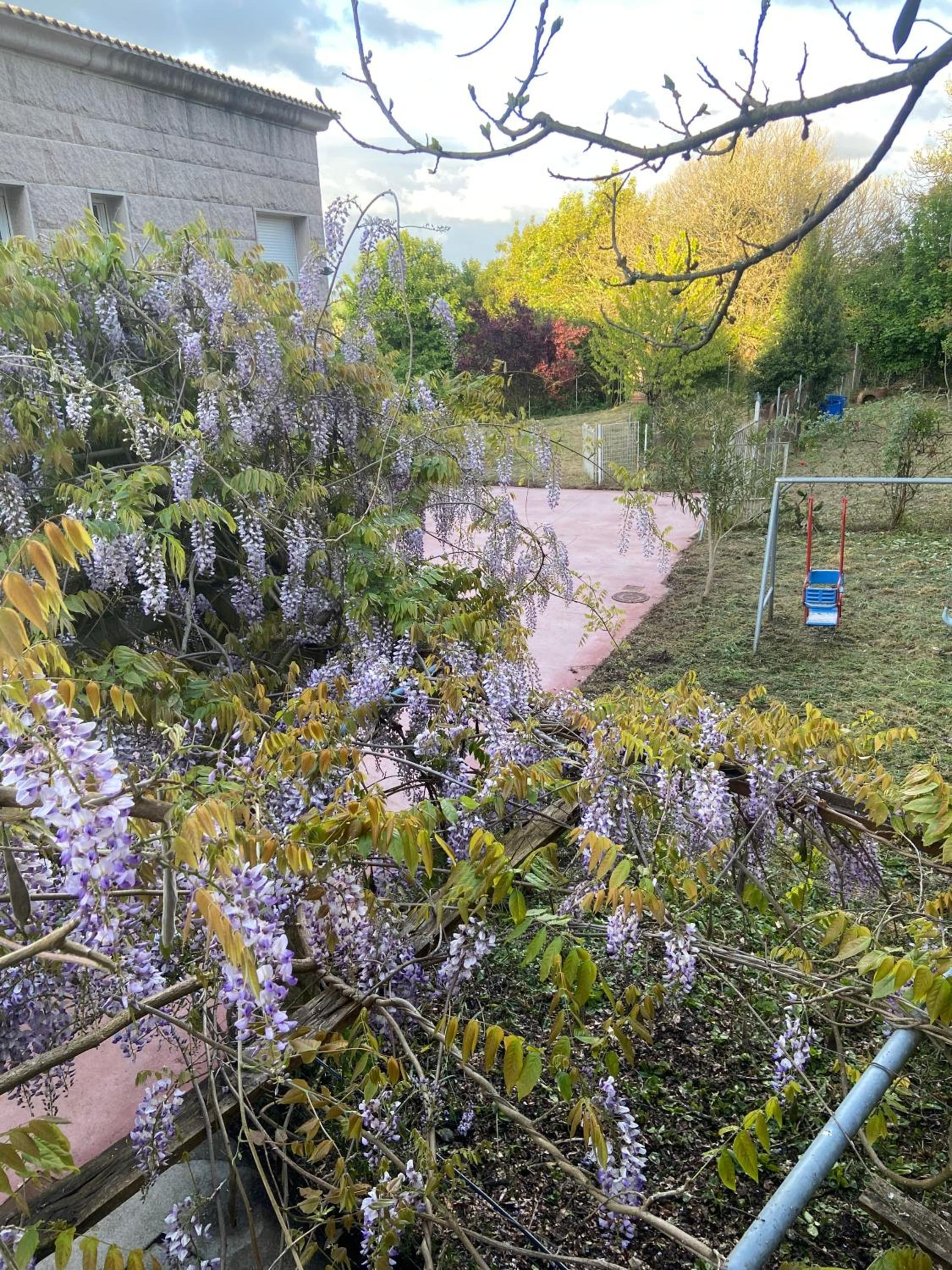 Photo 33