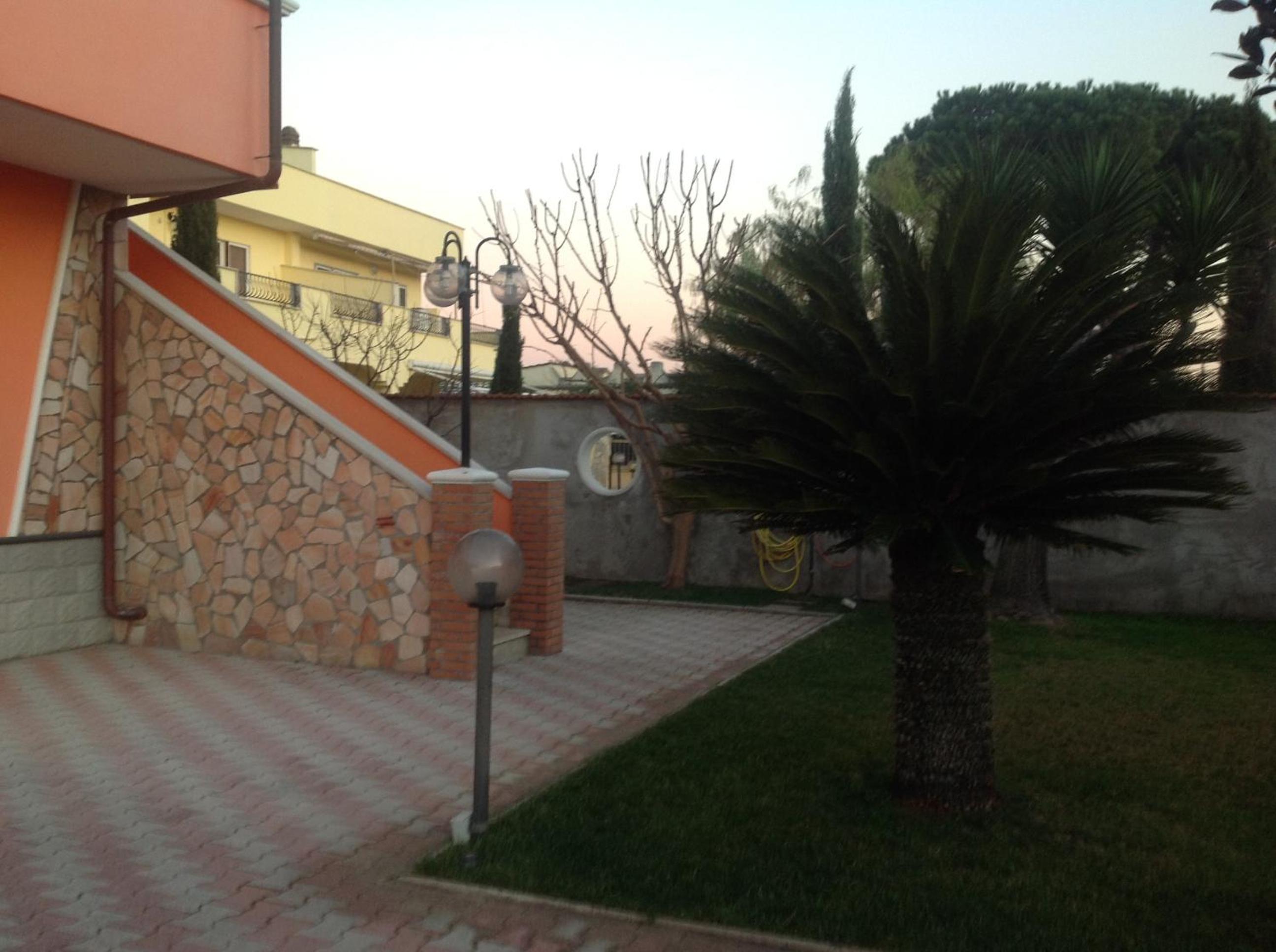 Photo 16