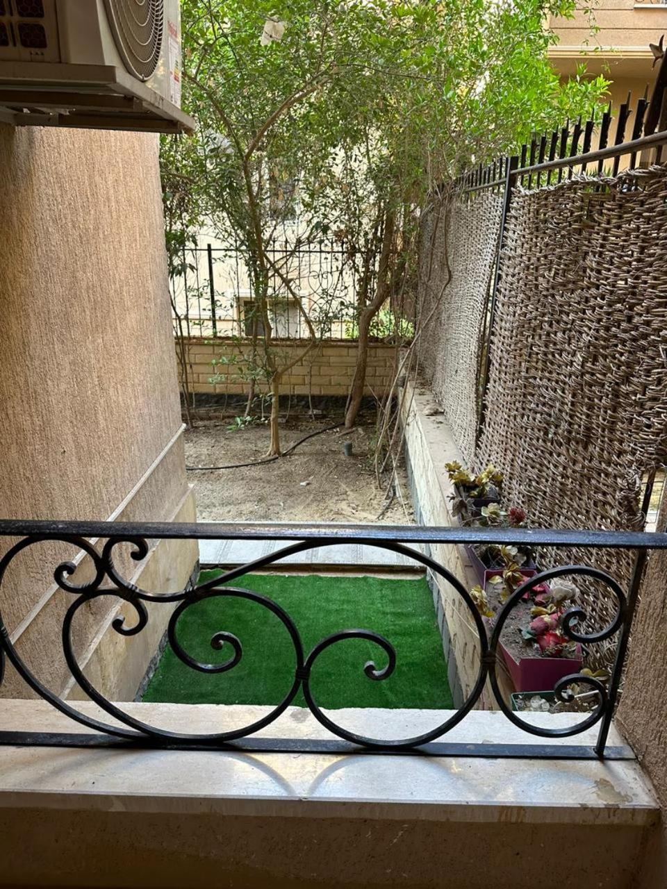 Acacia compound,new cairo