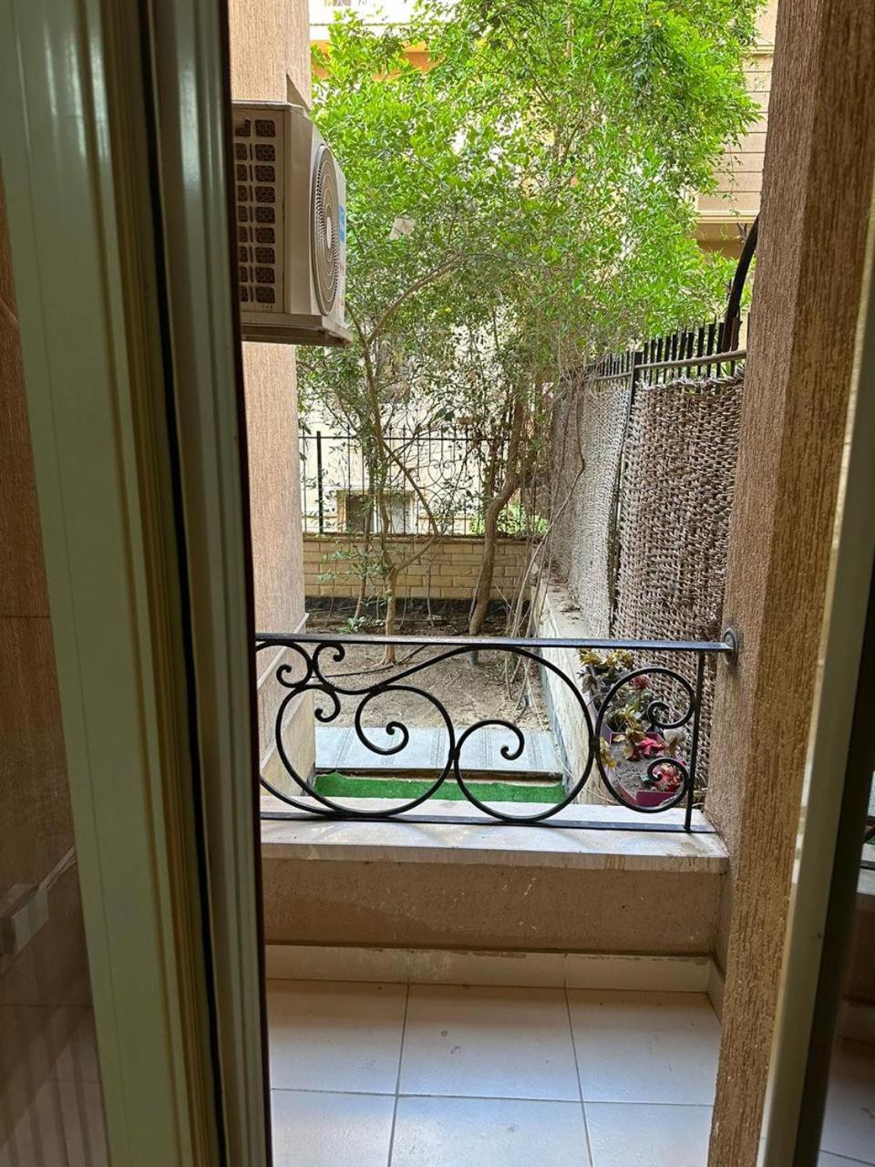 Acacia compound,new cairo