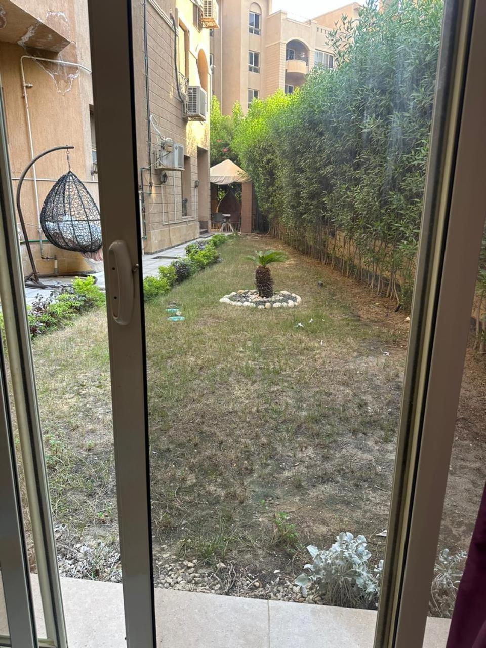 Acacia compound,new cairo