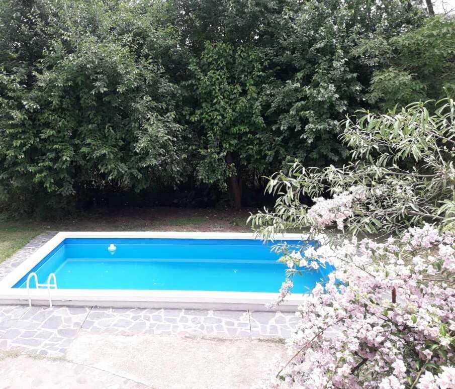 Las Araucarias