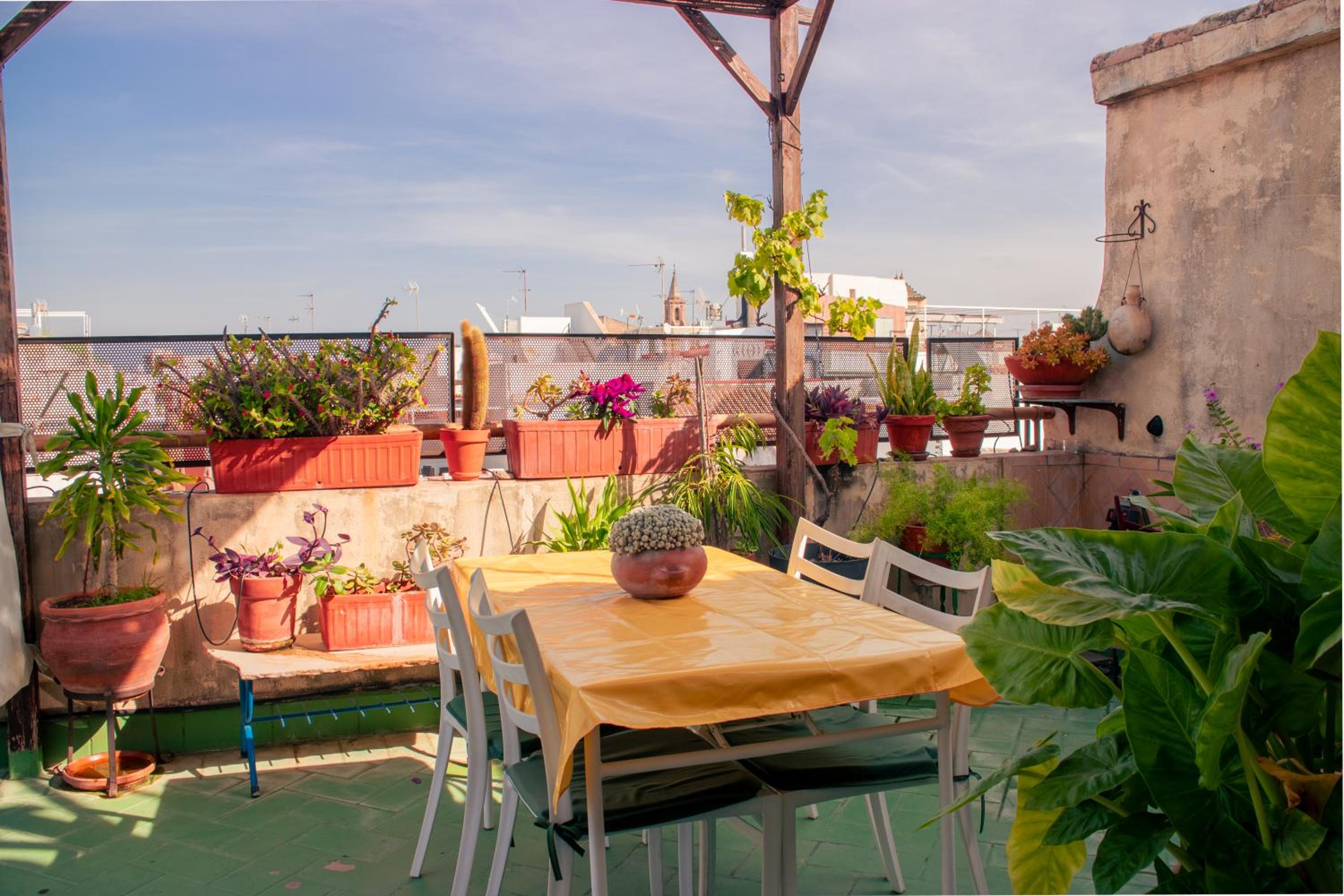 roof