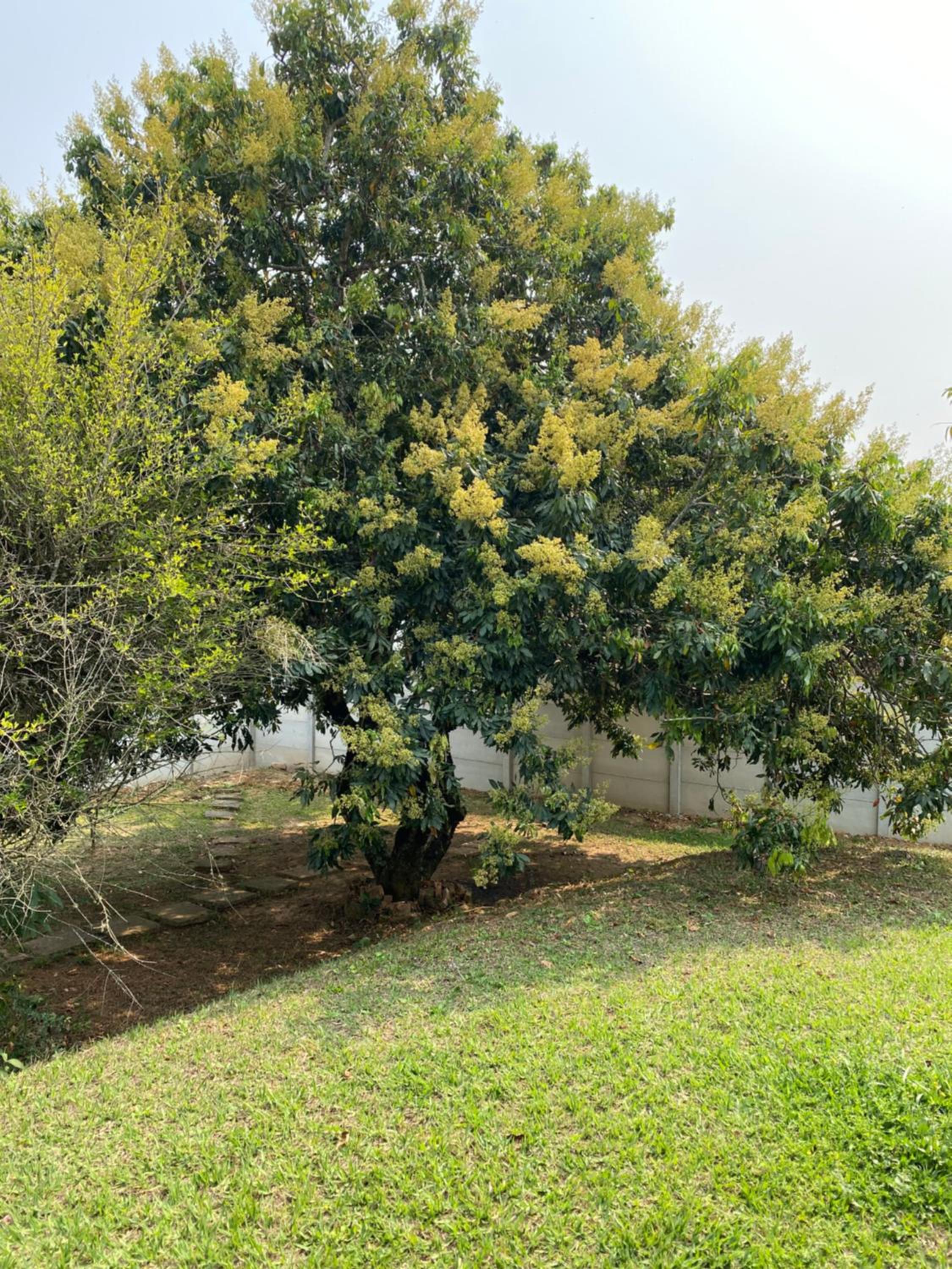 Chácara São Gabriel