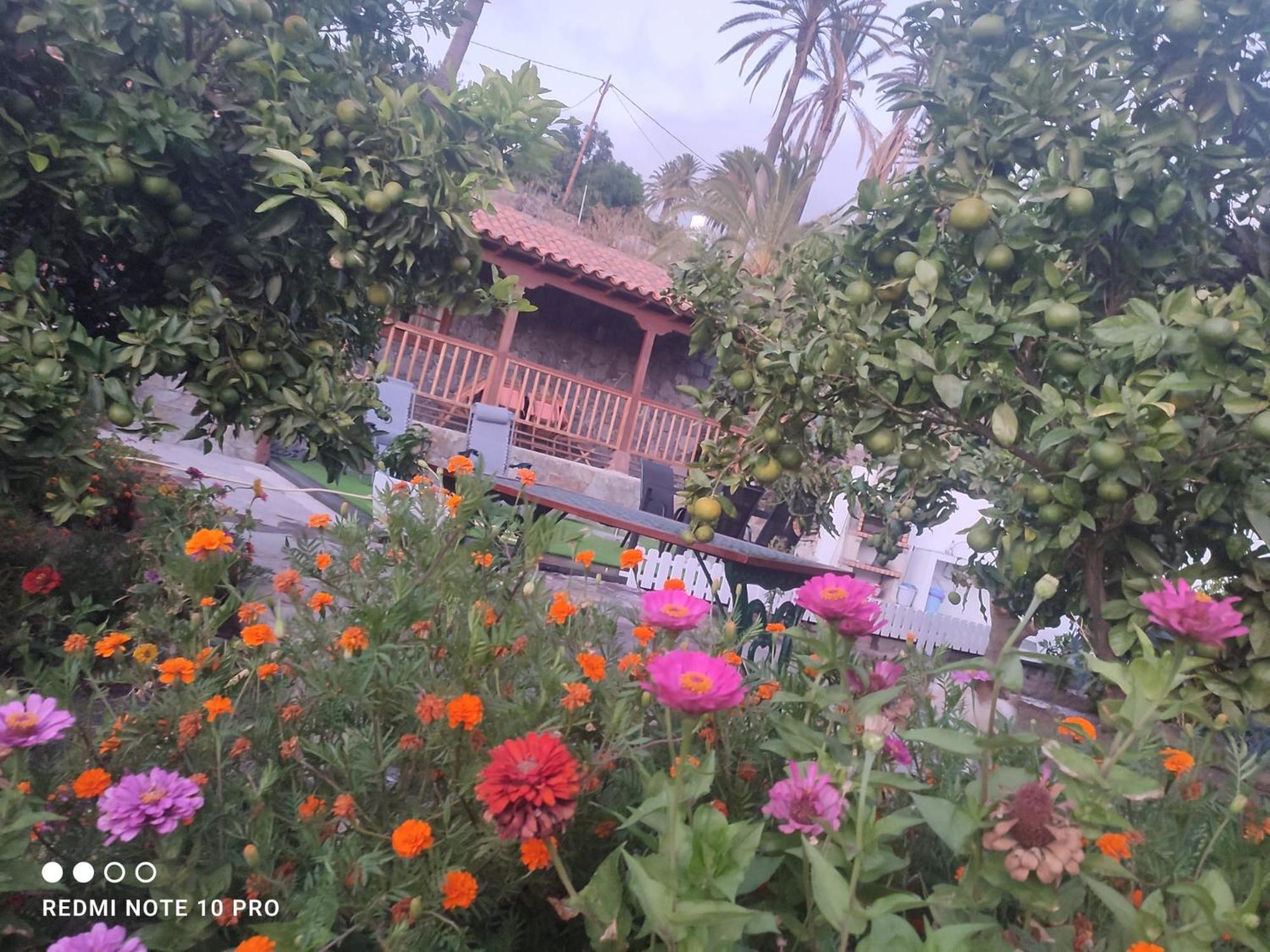 La Finca De Victoria Alojera