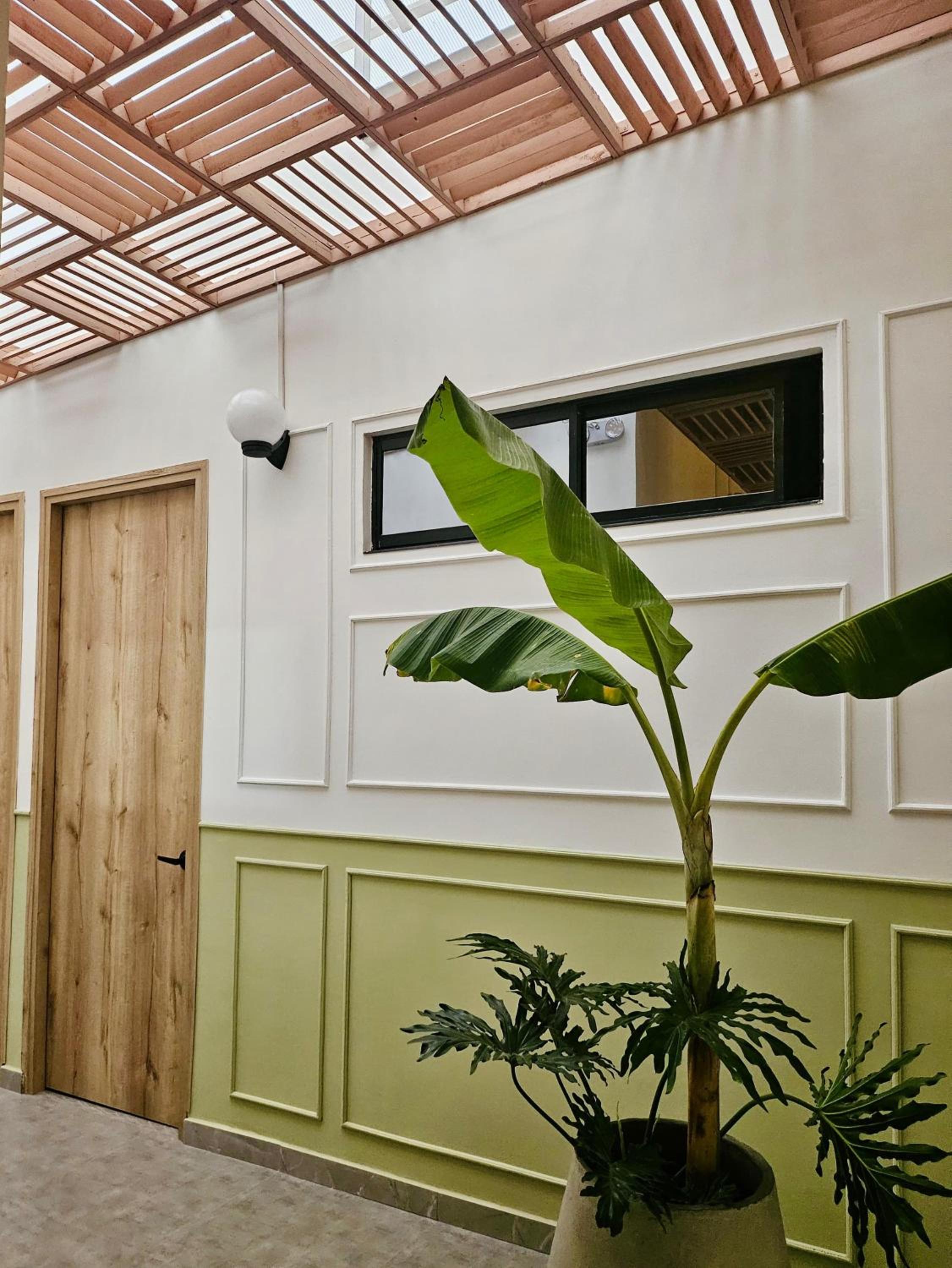 Treeloft Home