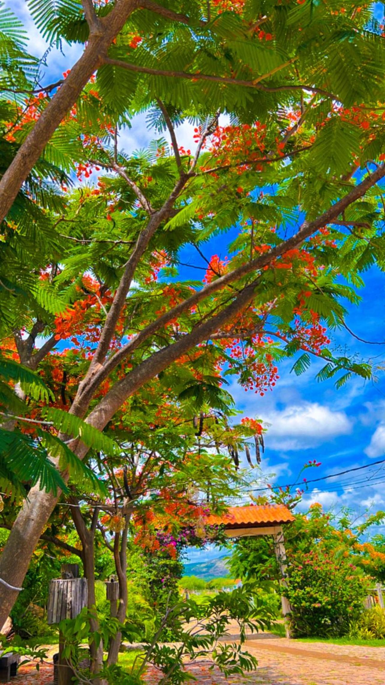 Hotel Fazenda Bastiao