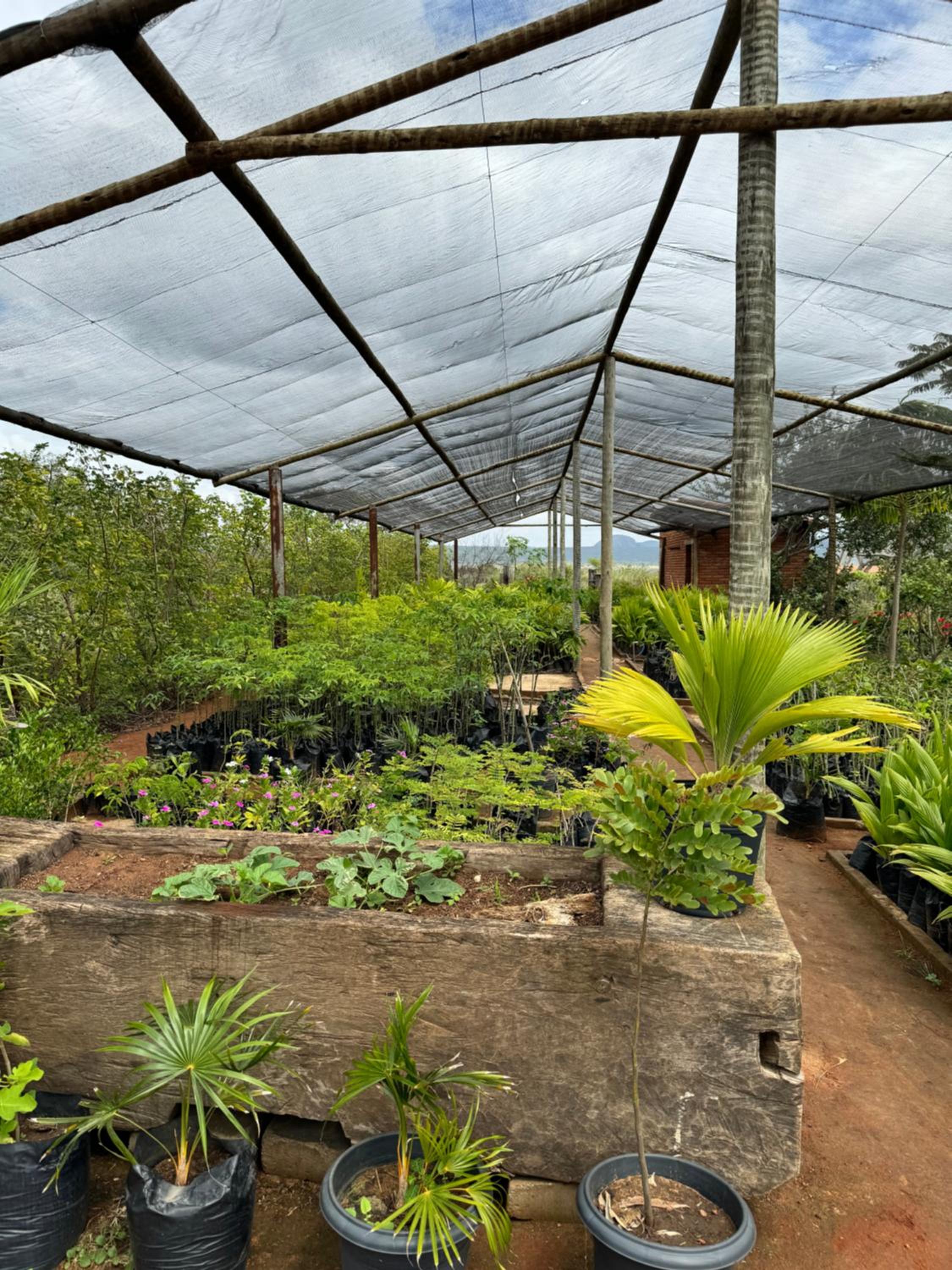 Hotel Fazenda Bastiao