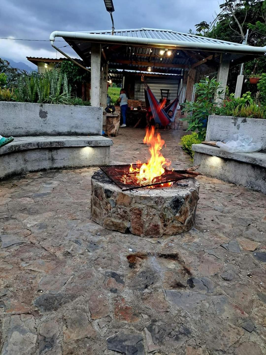 Photo 9