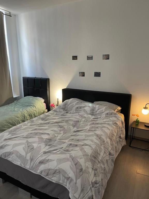 Beautiful Big Apartment in Central Antwerp