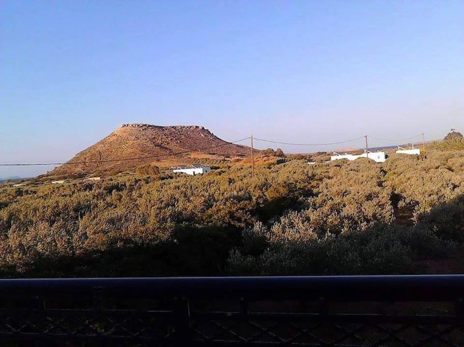 Diktynna Villa