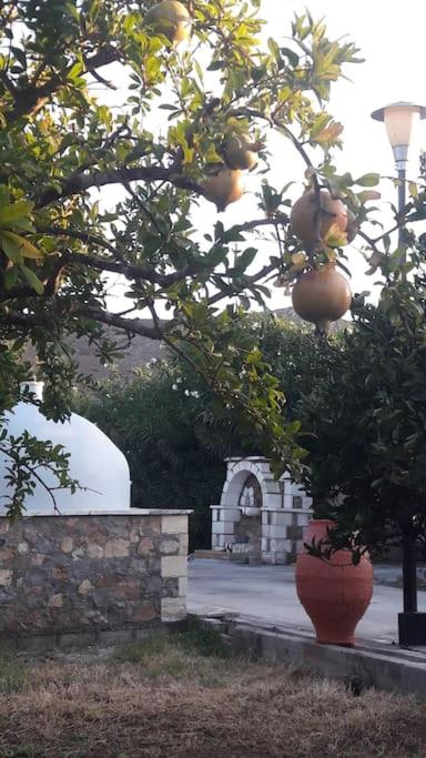 Diktynna Villa