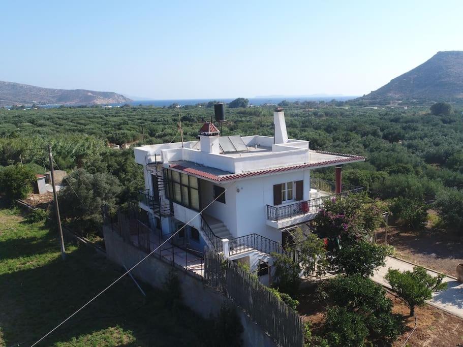 Diktynna Villa