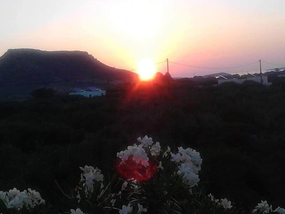Diktynna Villa