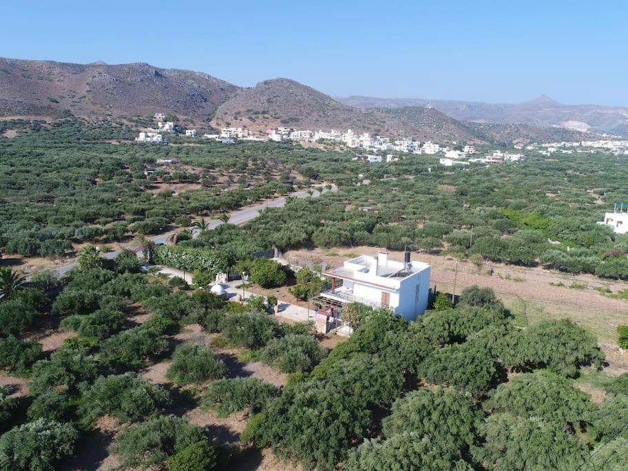 Diktynna Villa
