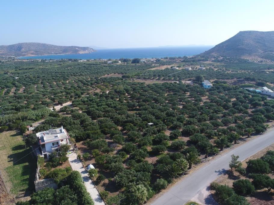 Diktynna Villa