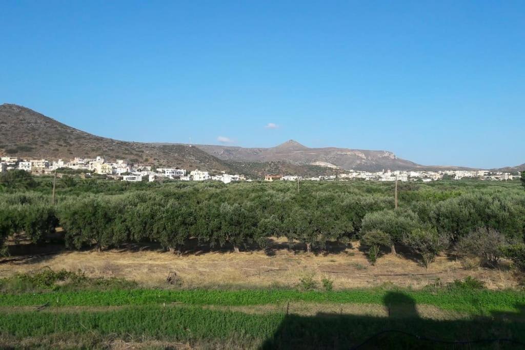 Diktynna Villa