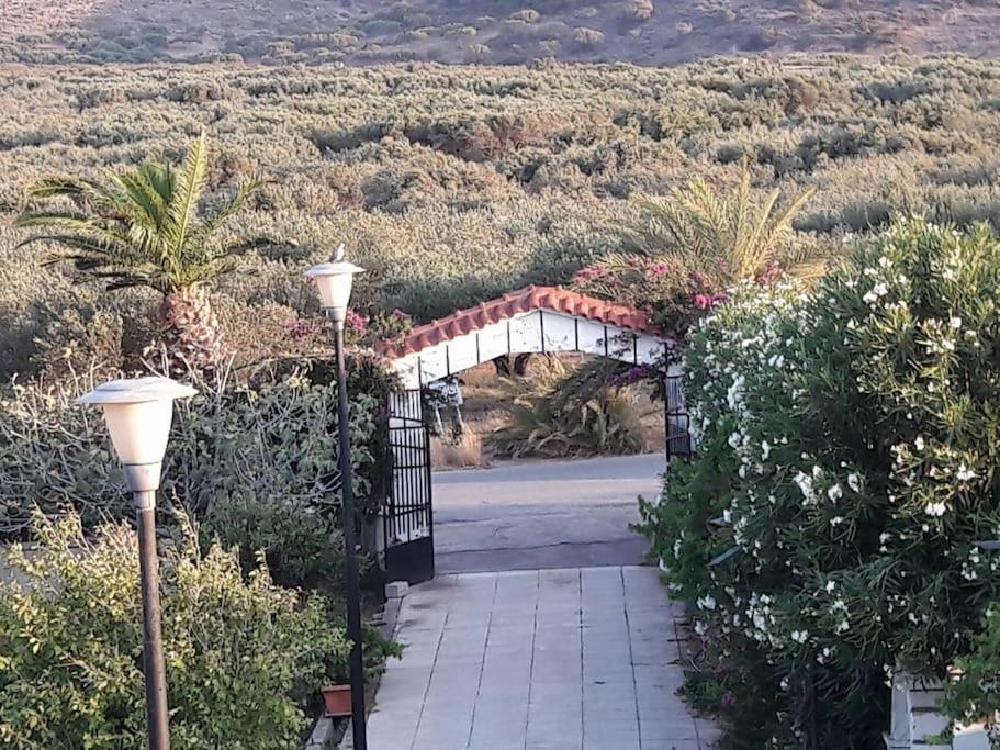 Diktynna Villa