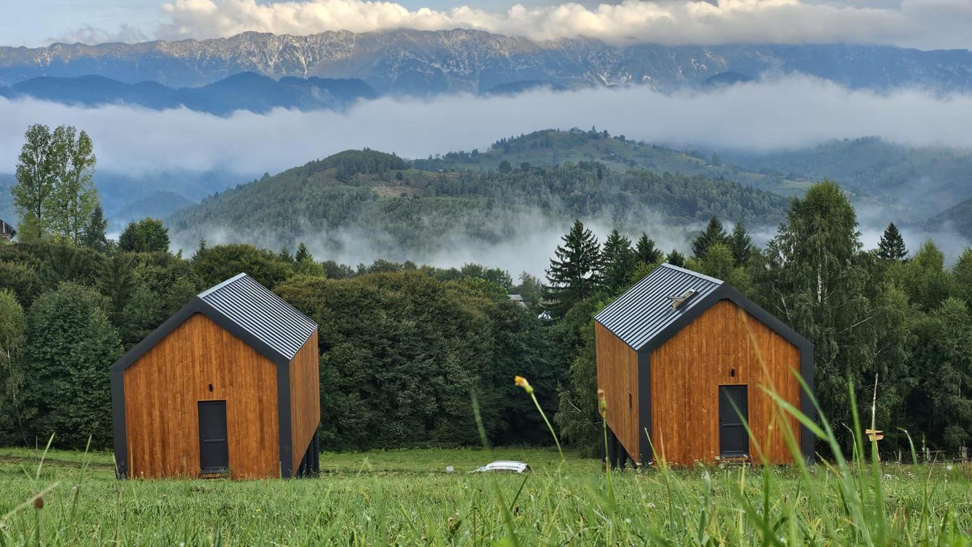 Suspended Tiny House