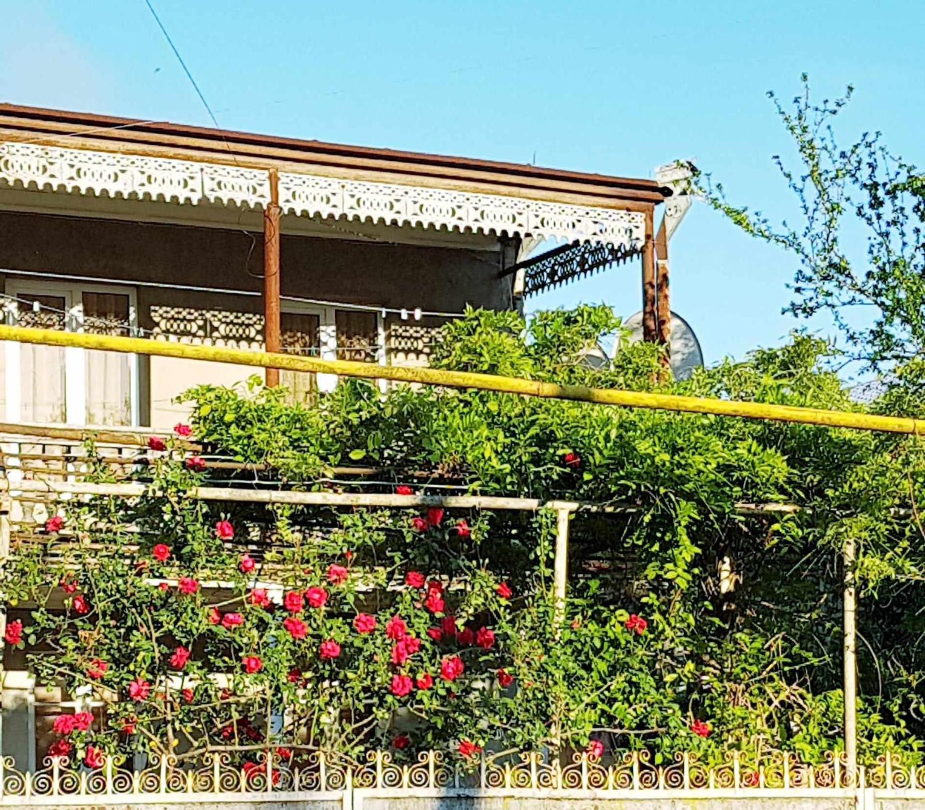Guest house Glicinia