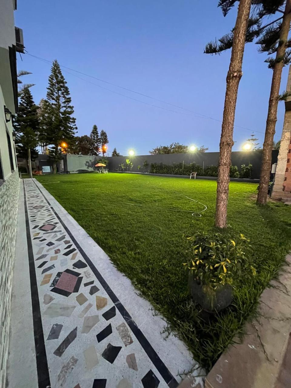 Photo 7