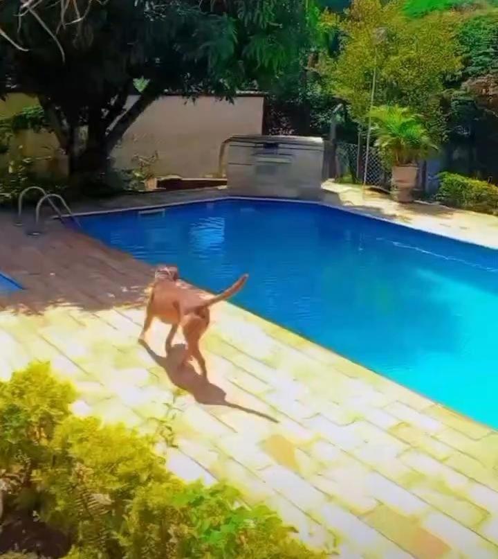 Casa com piscina - itupeva
