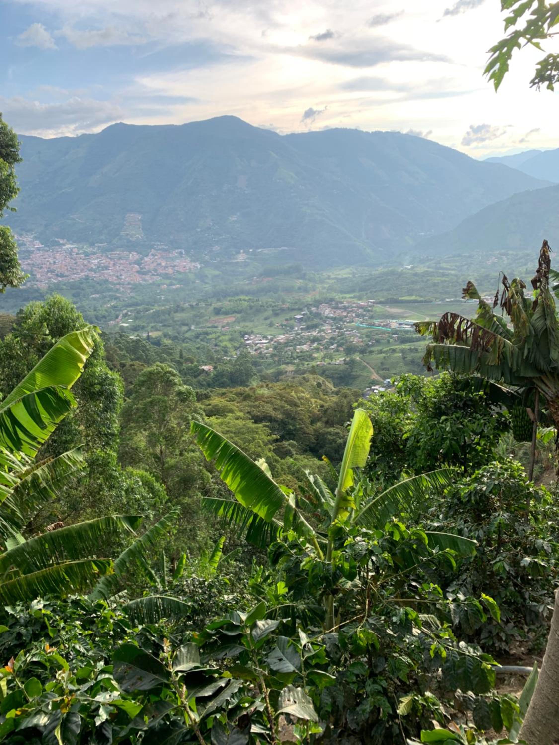 Finca hostal el jardín de D