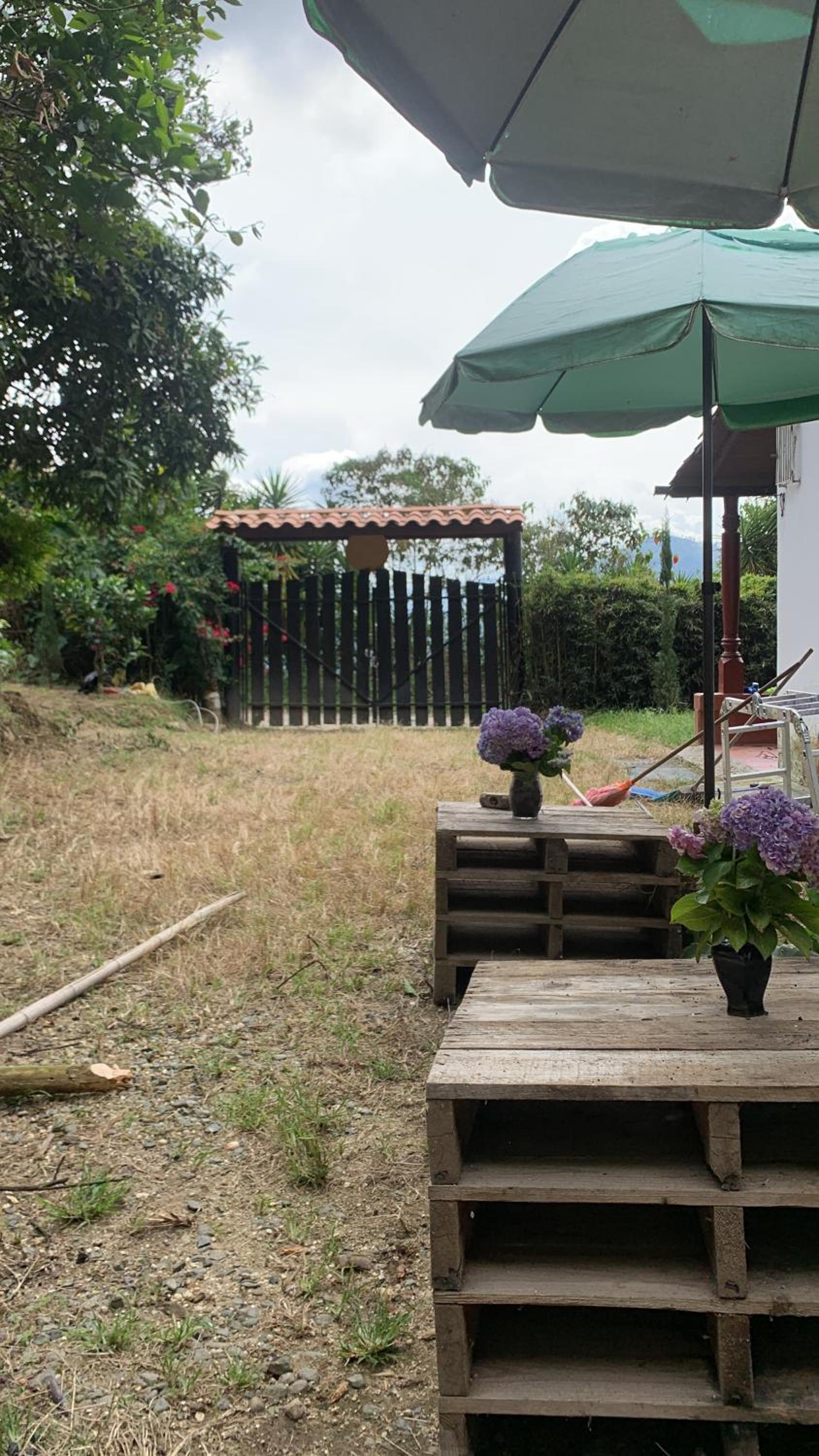 Finca hostal el jardín de D