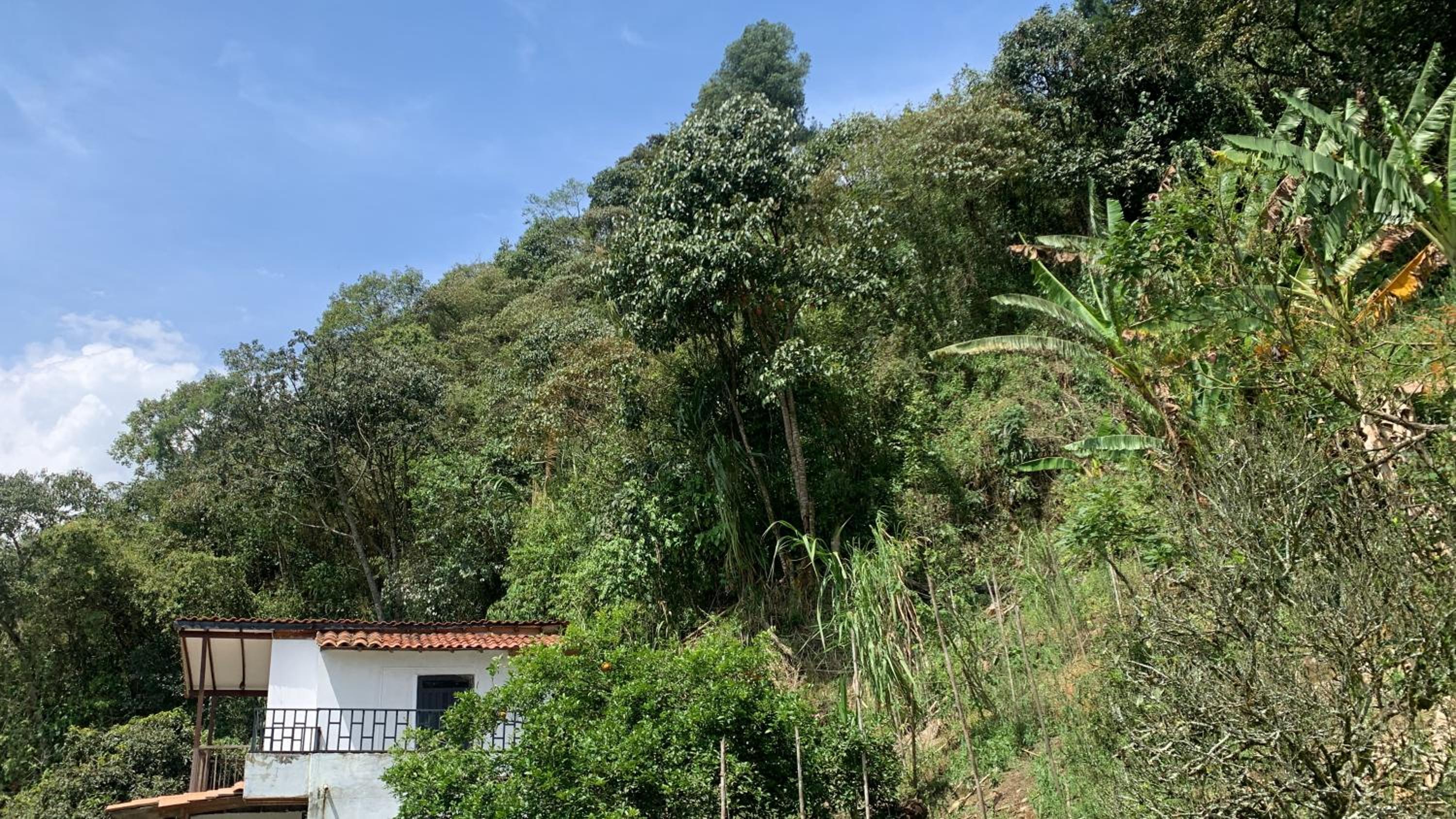Finca hostal el jardín de D