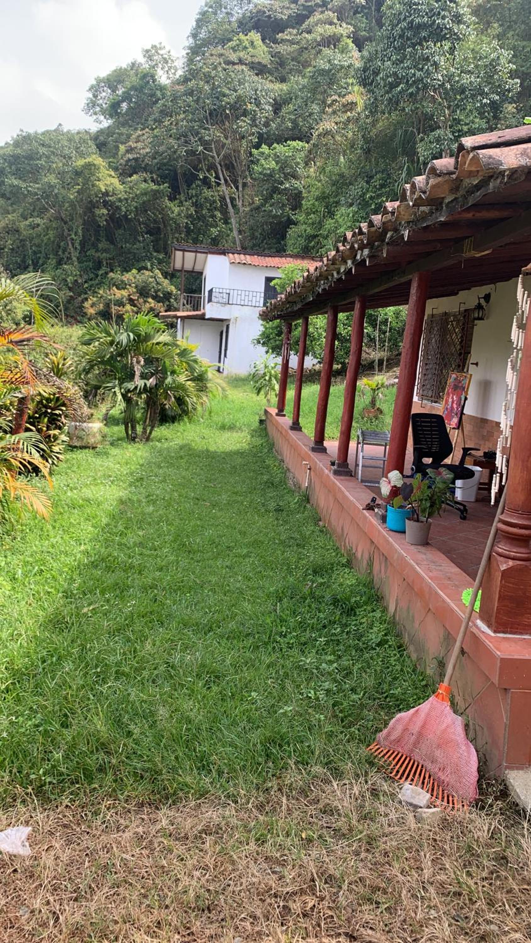 Finca hostal el jardín de D