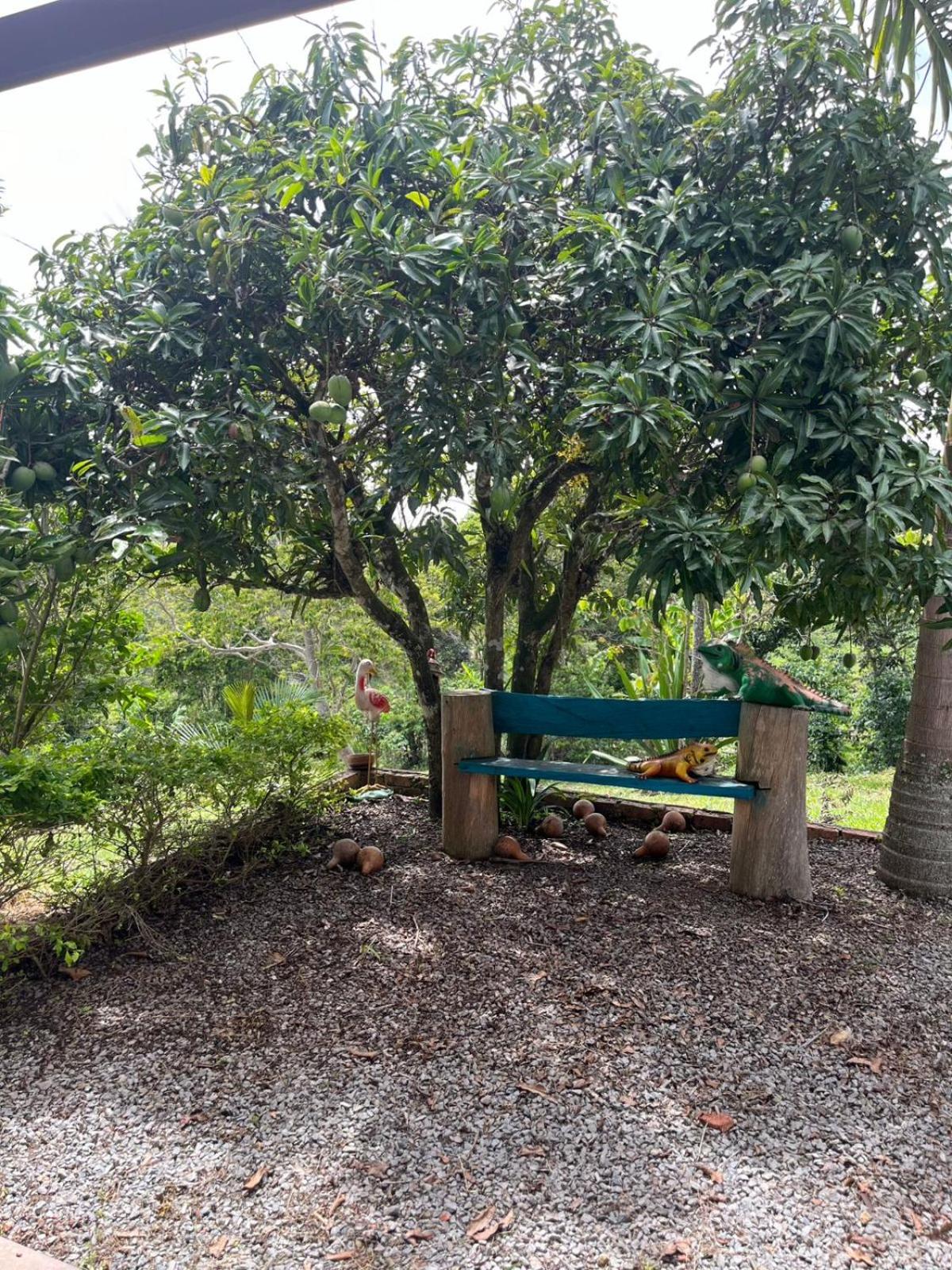 Finca Cafetera San Jorge