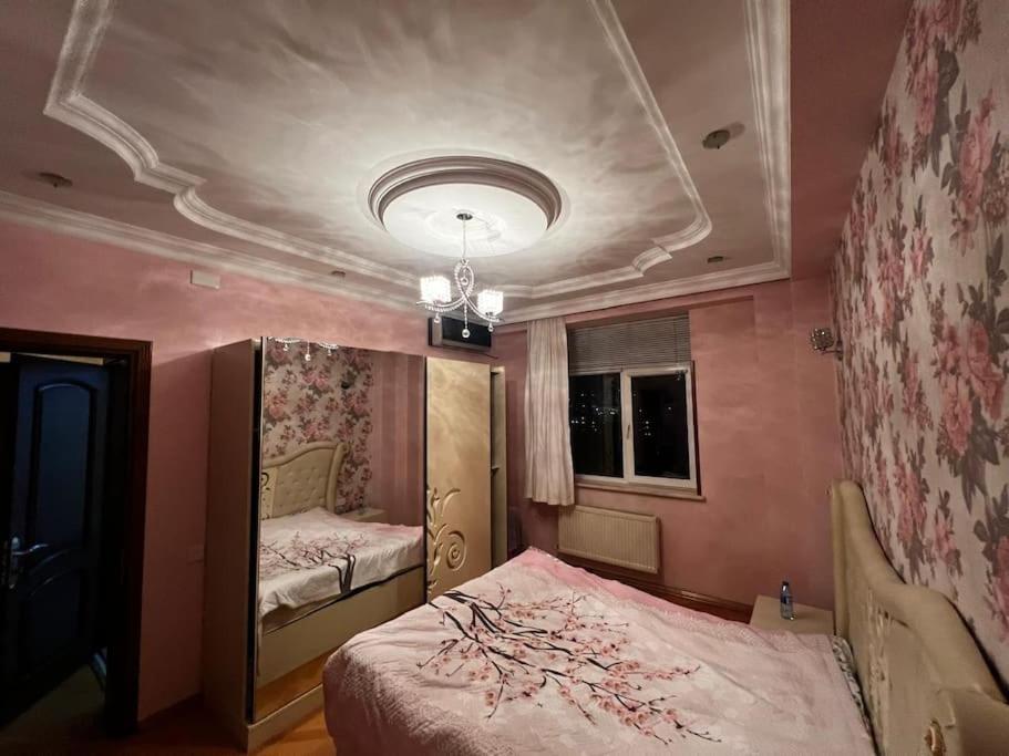 Cozy apartment in the center COP29