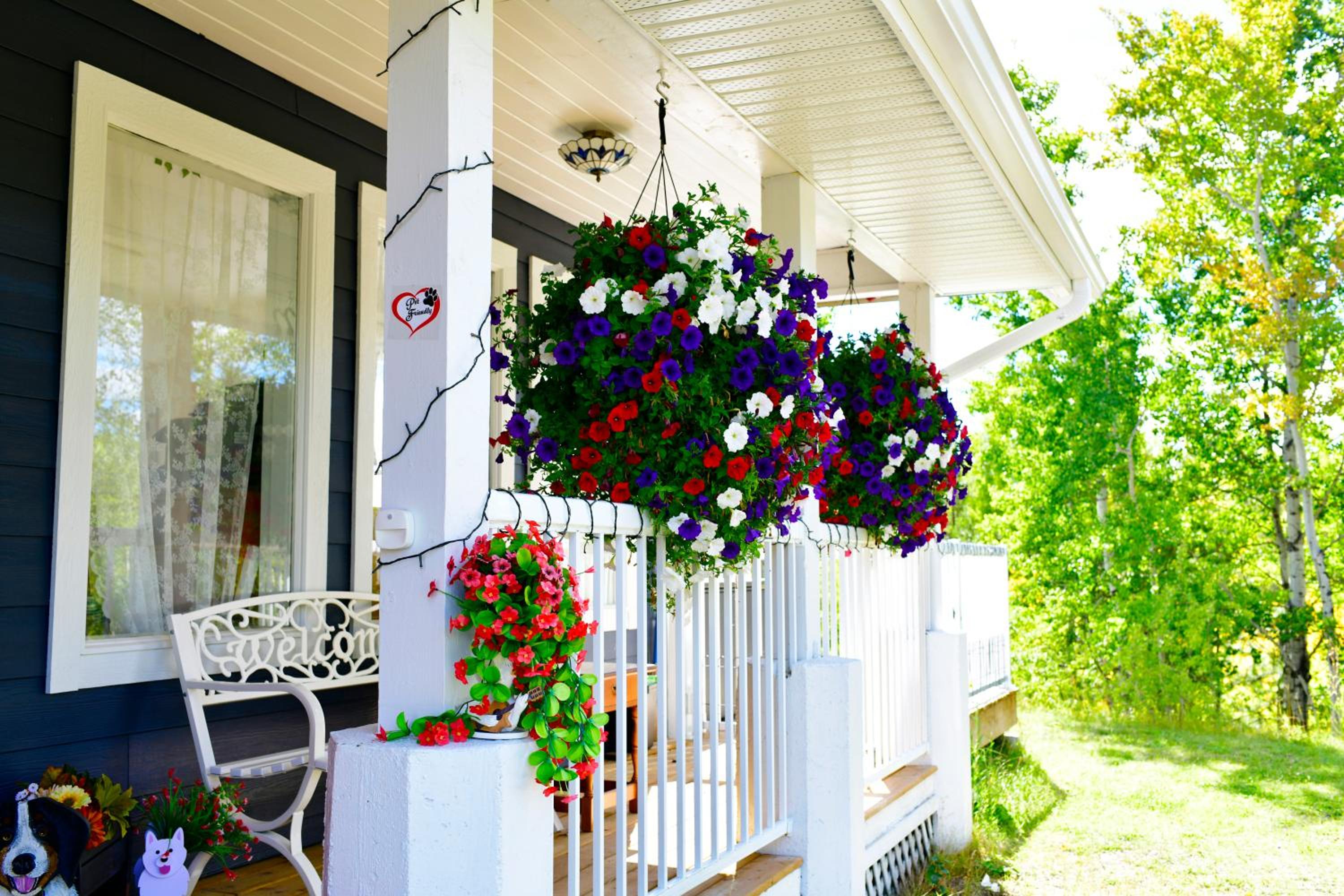 The Blue Cottage B&B