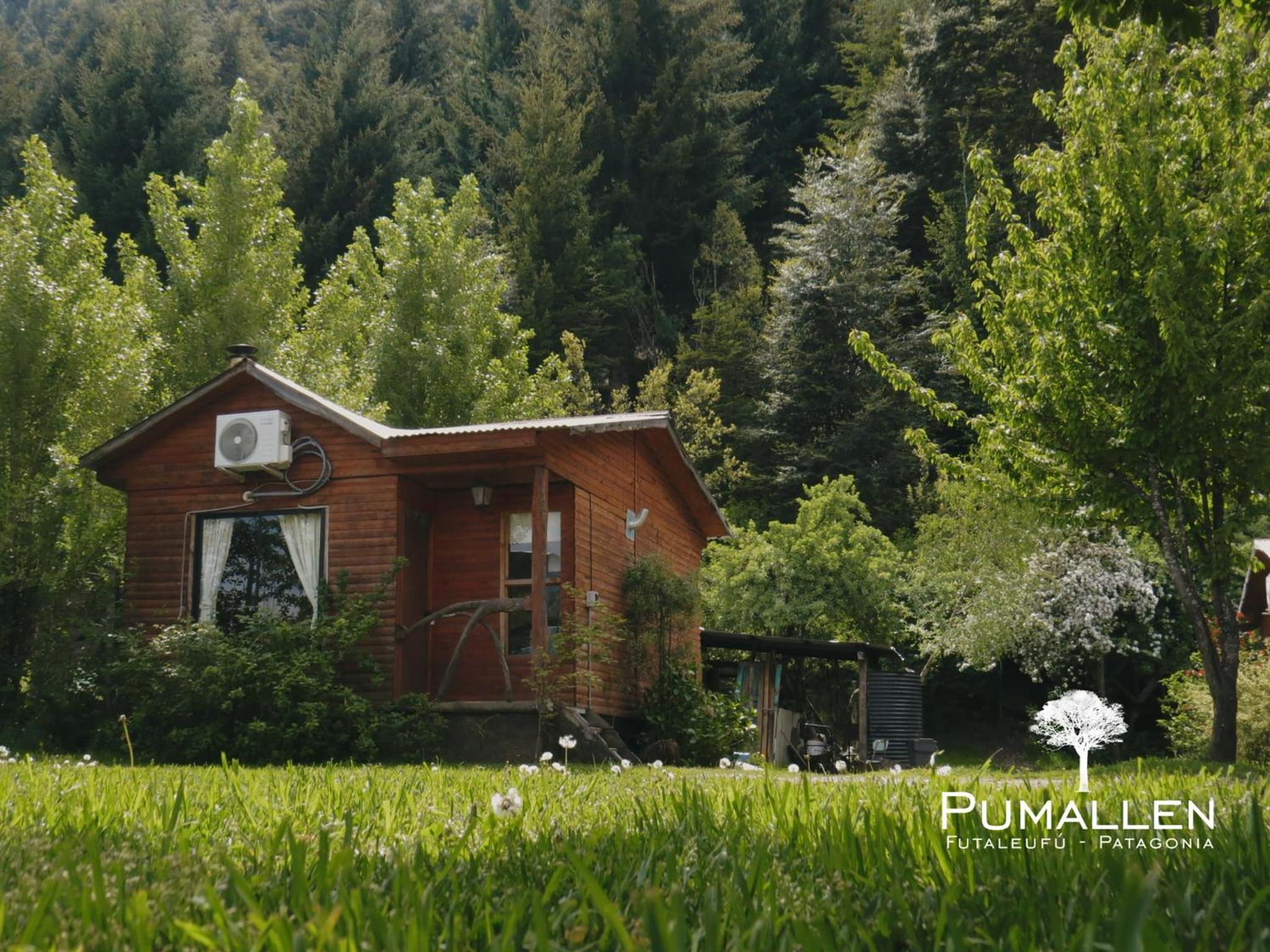 Eco cabañas - PUMALLEN