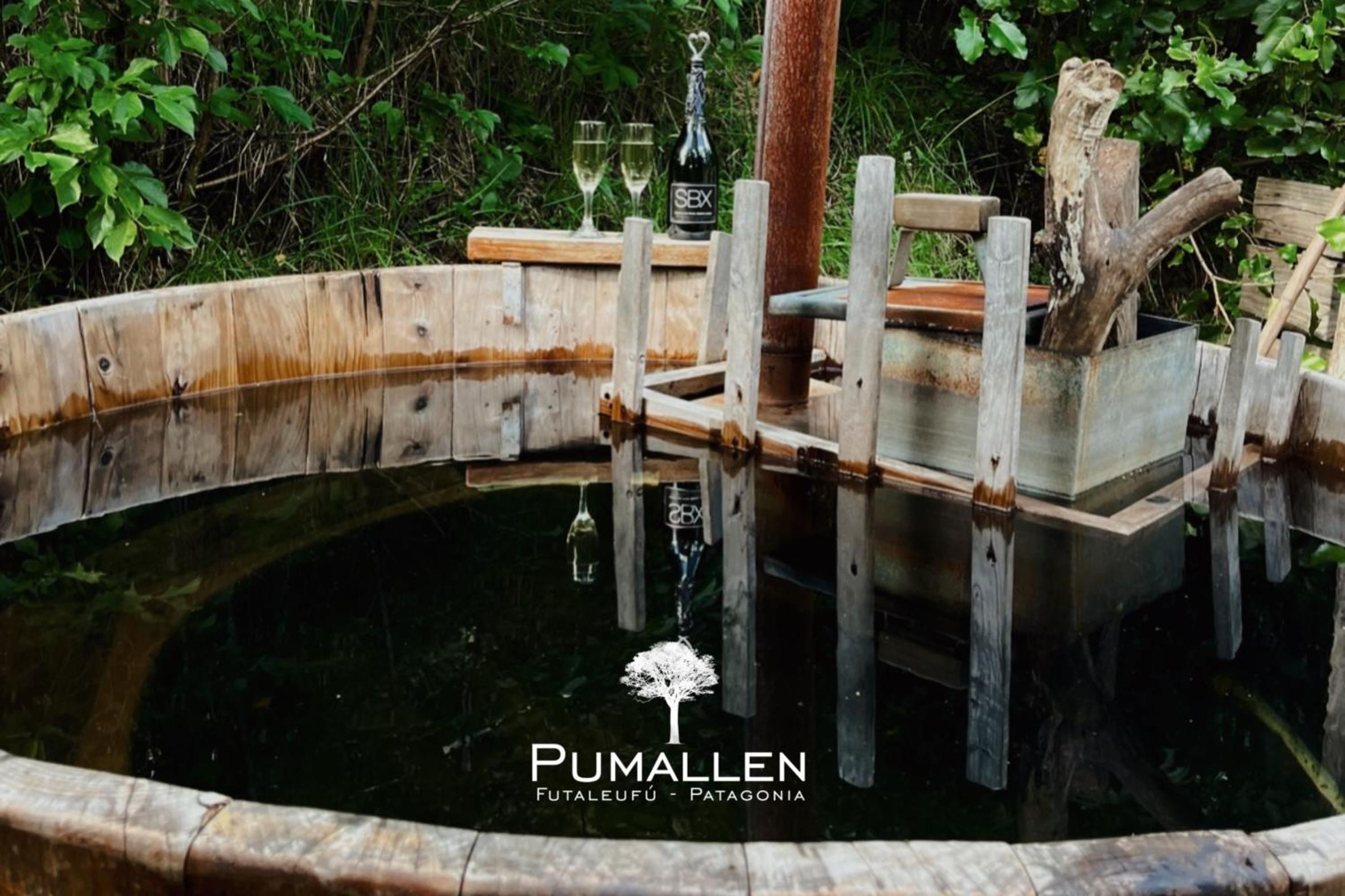 Eco cabañas - PUMALLEN