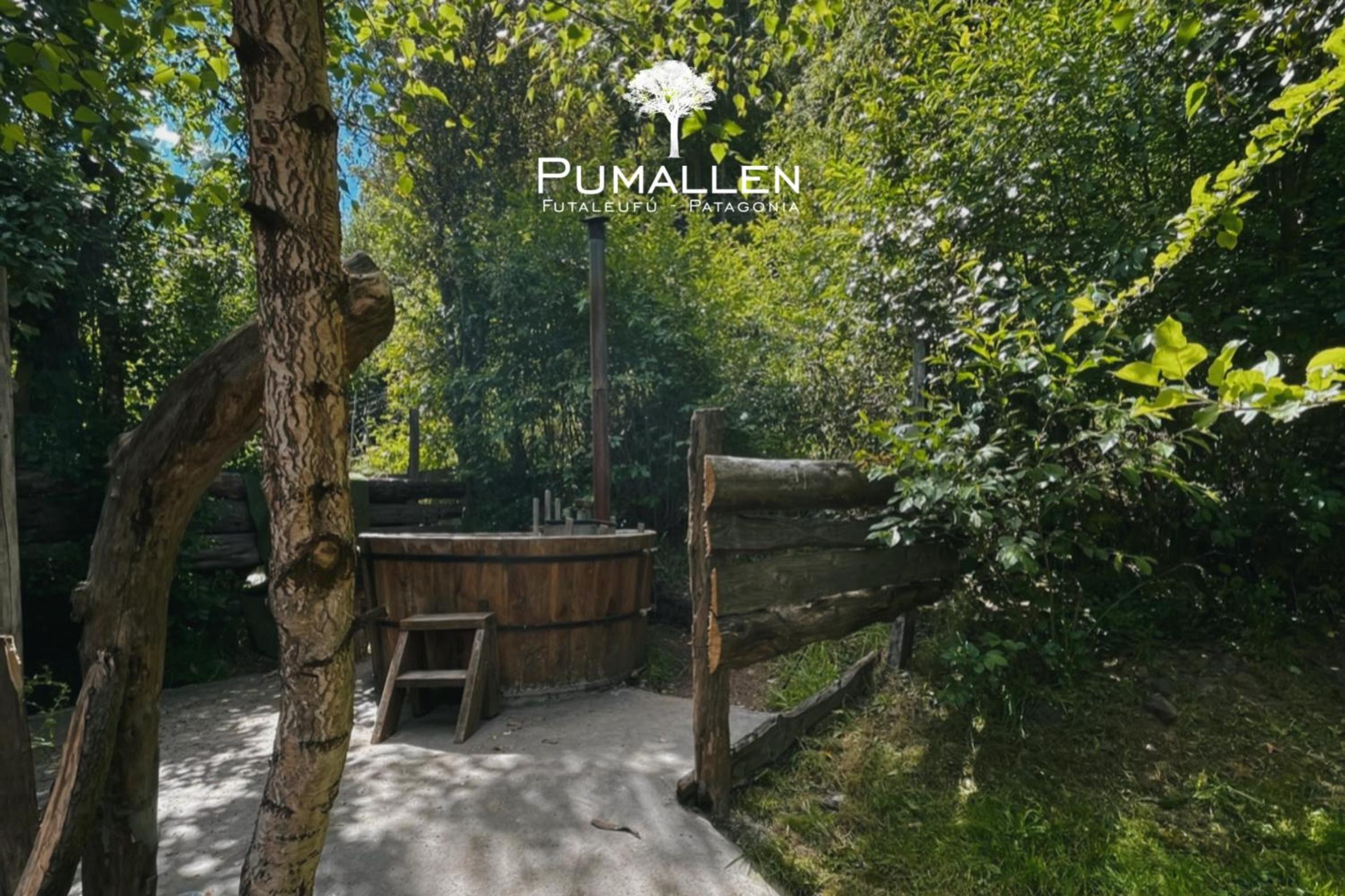 Eco cabañas - PUMALLEN