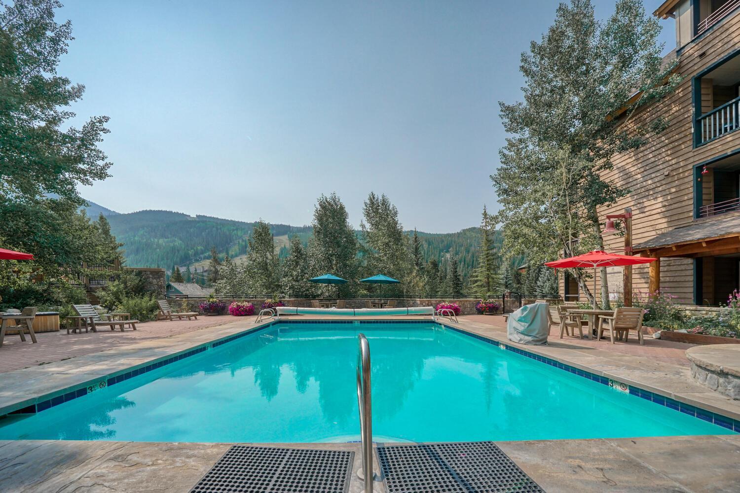 Buffalo Lodge 2 Bed 2 Ba BLCD2 view 3